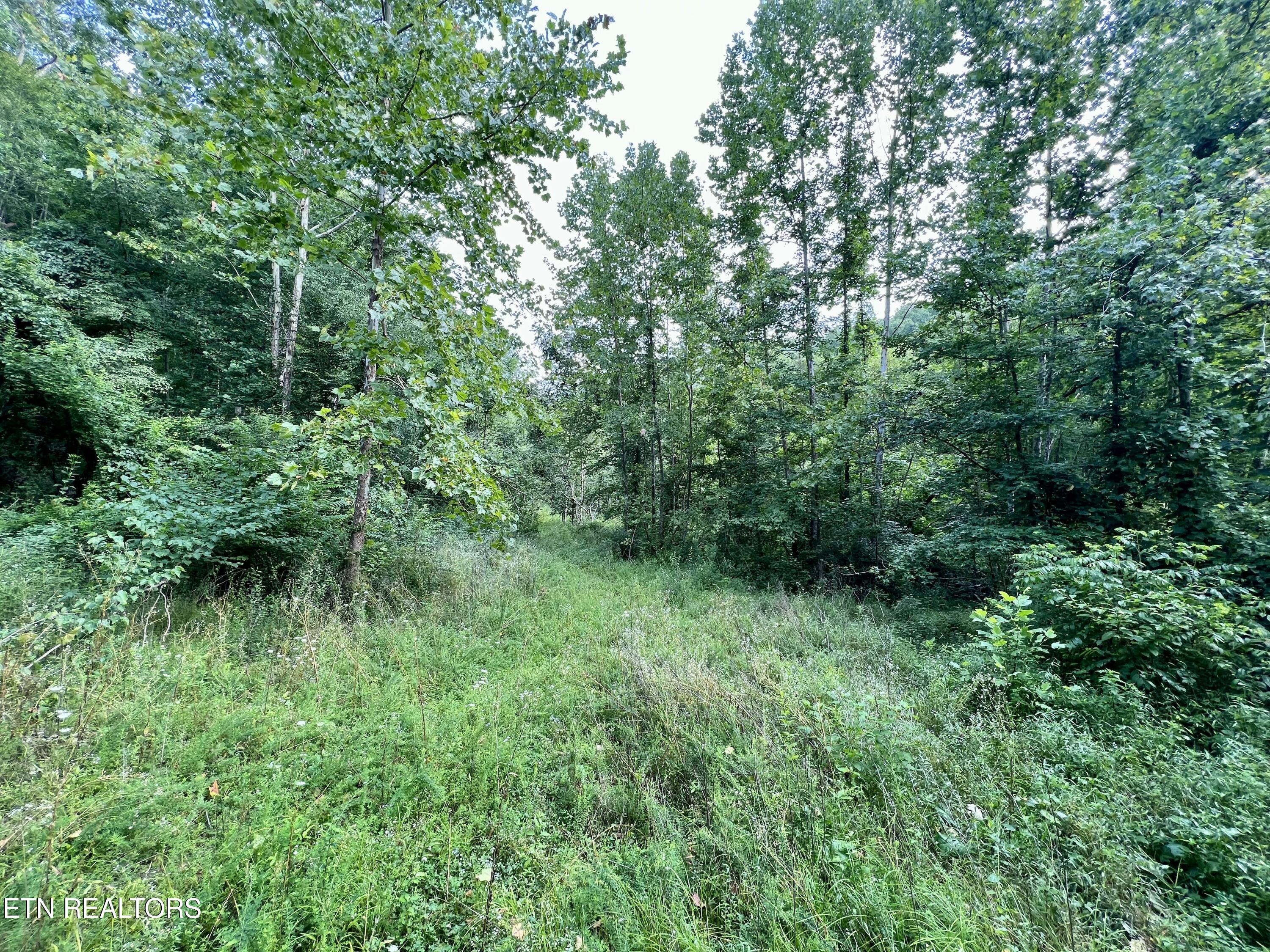 Wool Lane Property Photo 17