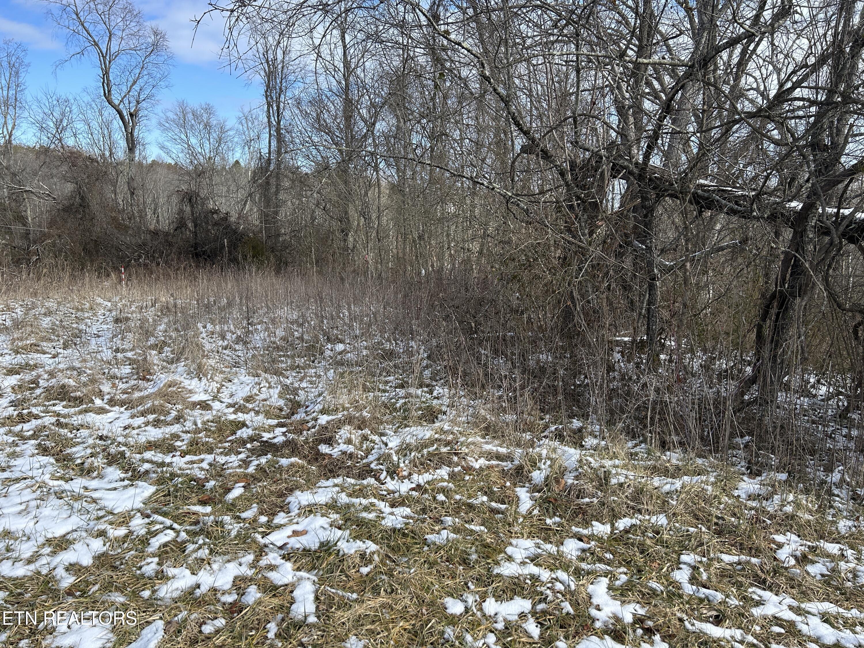 Chapman Rd Property Photo 1