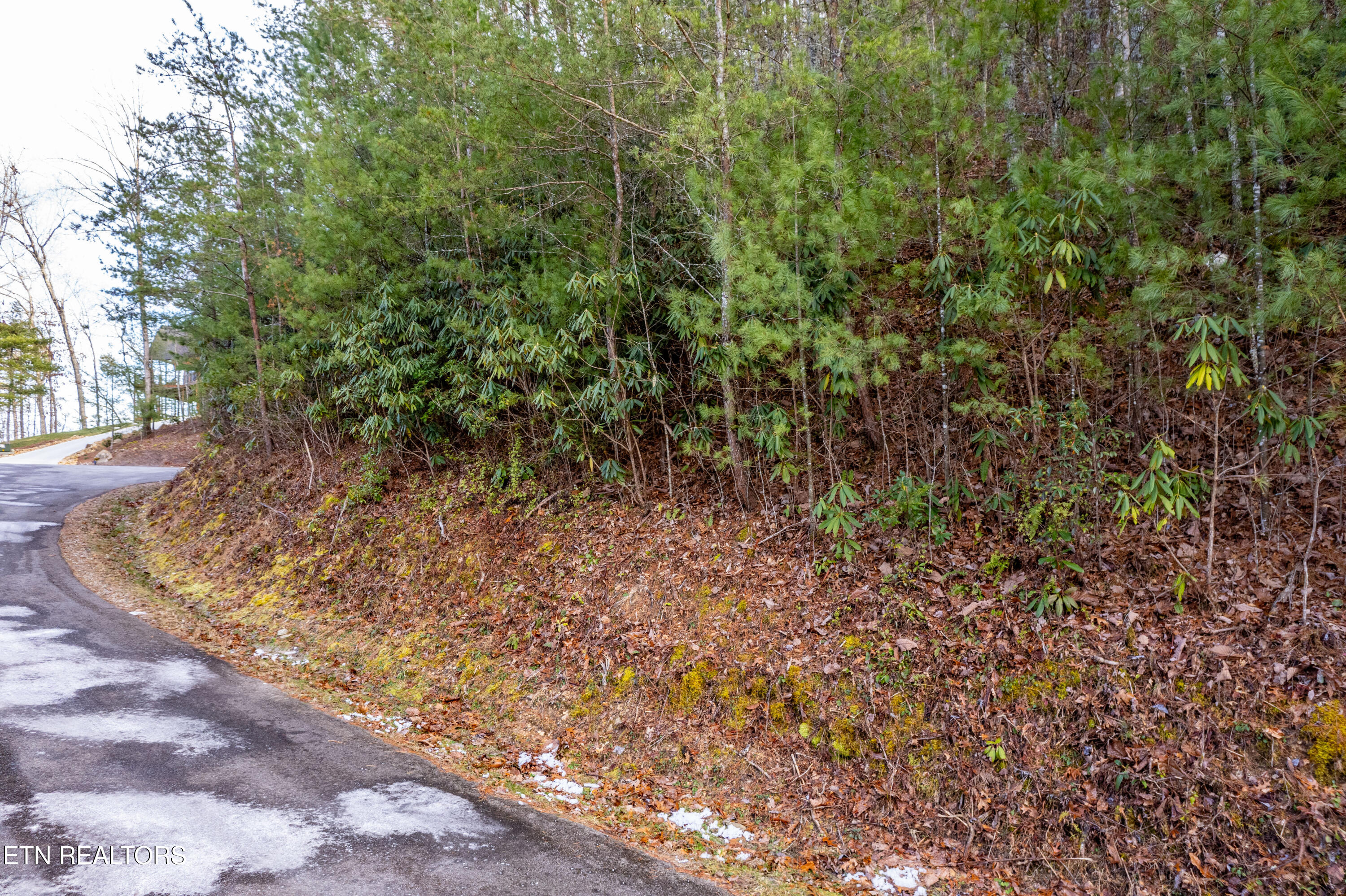 514 Chetola Tr Property Photo 2