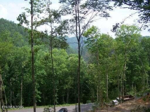 514 Chetola Tr Property Photo 4