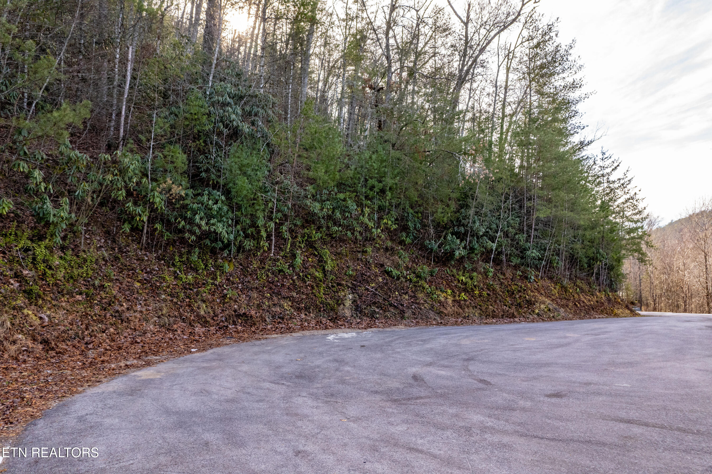 514 Chetola Tr Property Photo 5