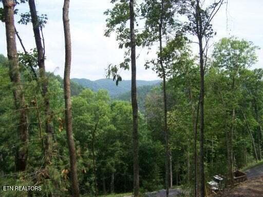 514 Chetola Tr Property Photo 6