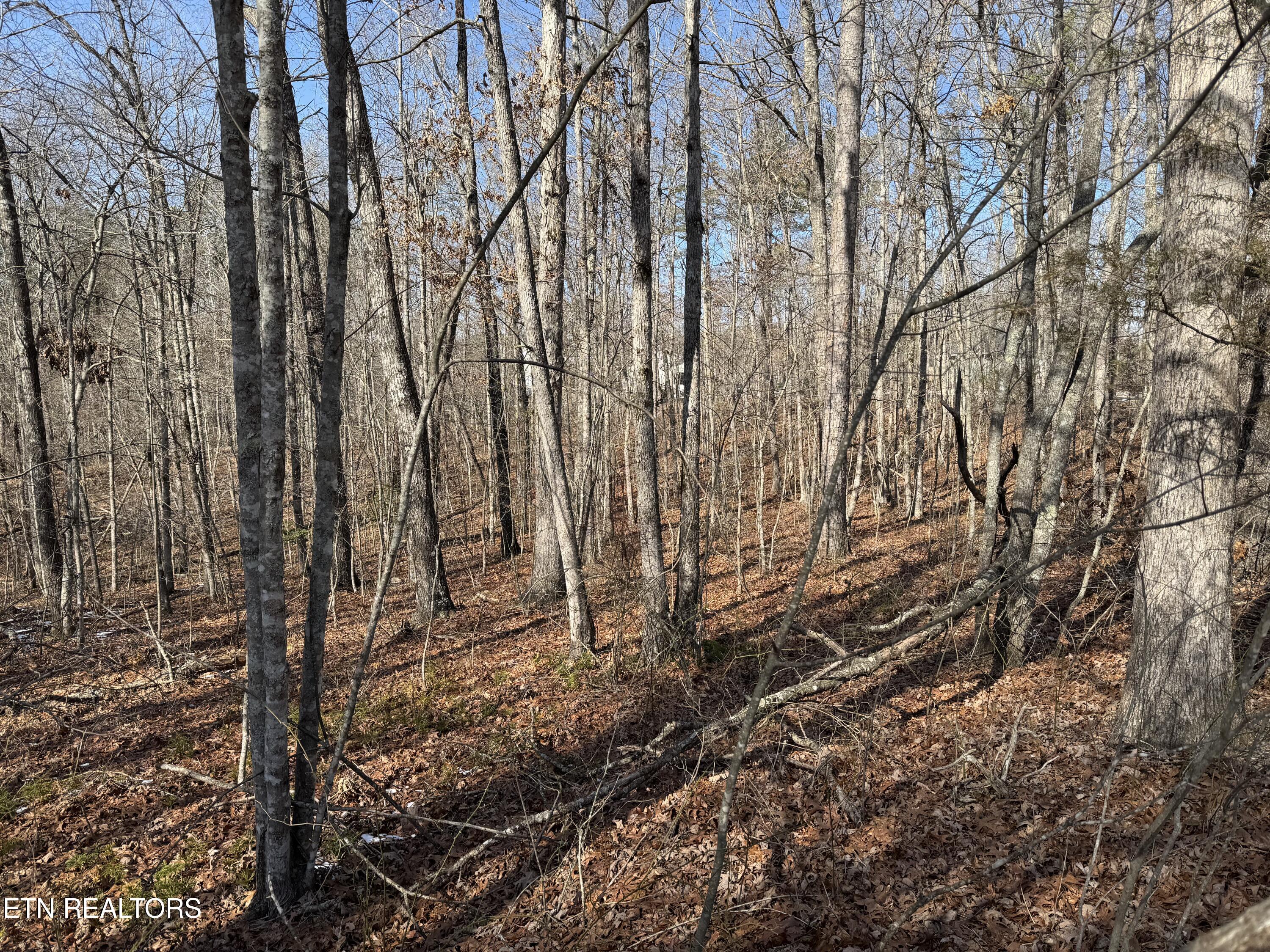 Belmont Circle Property Photo 2