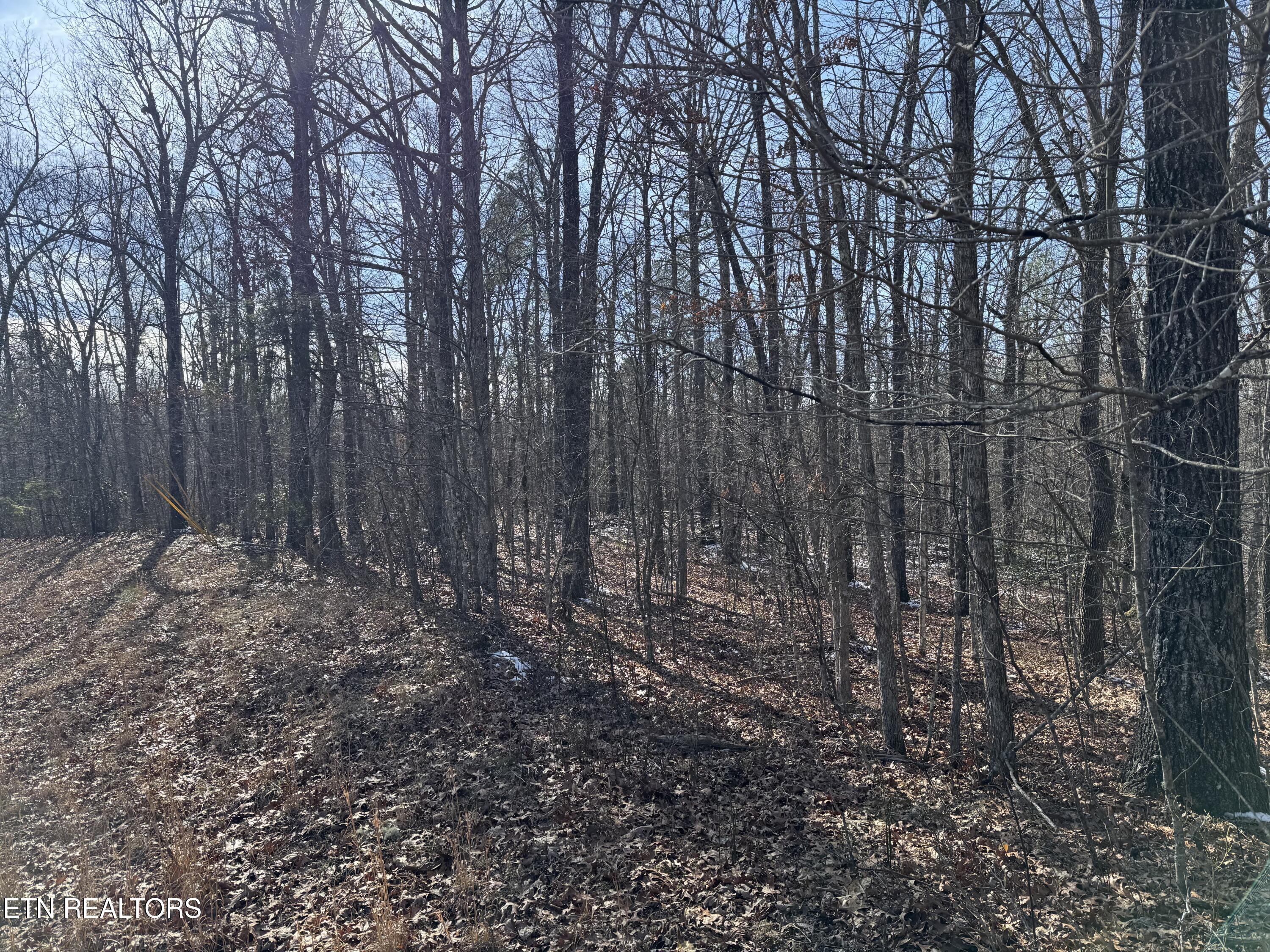 Belmont Circle Property Photo 3