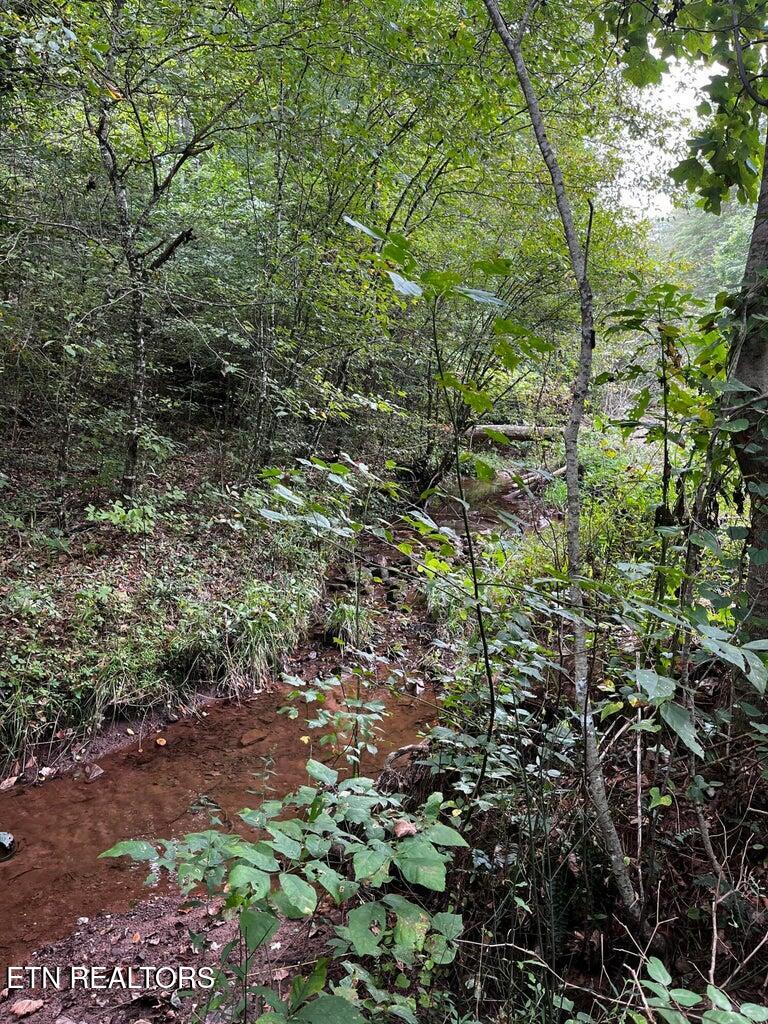 000 Three Point Rd Rd Property Photo 6