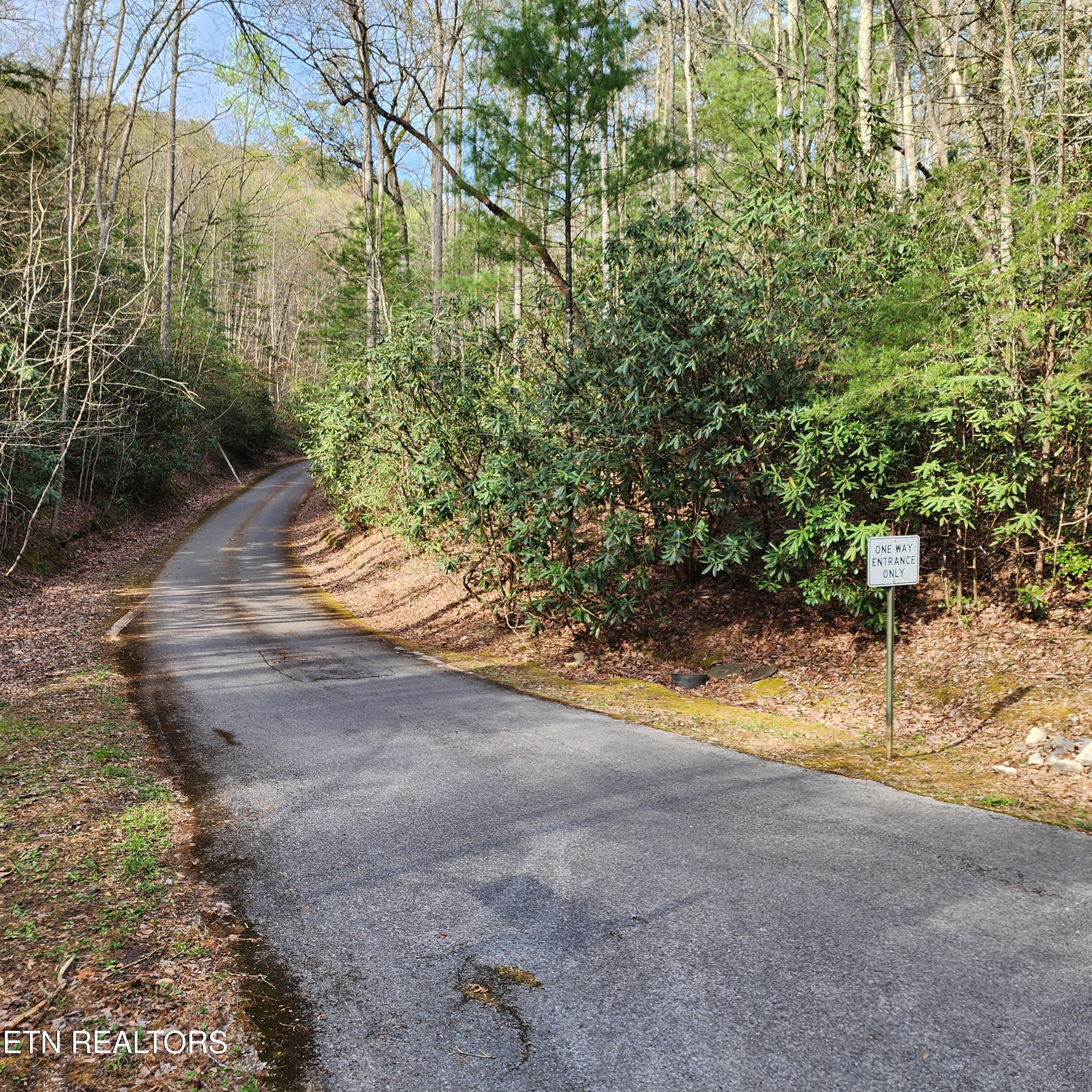 116 Stonegate Way Property Photo 3