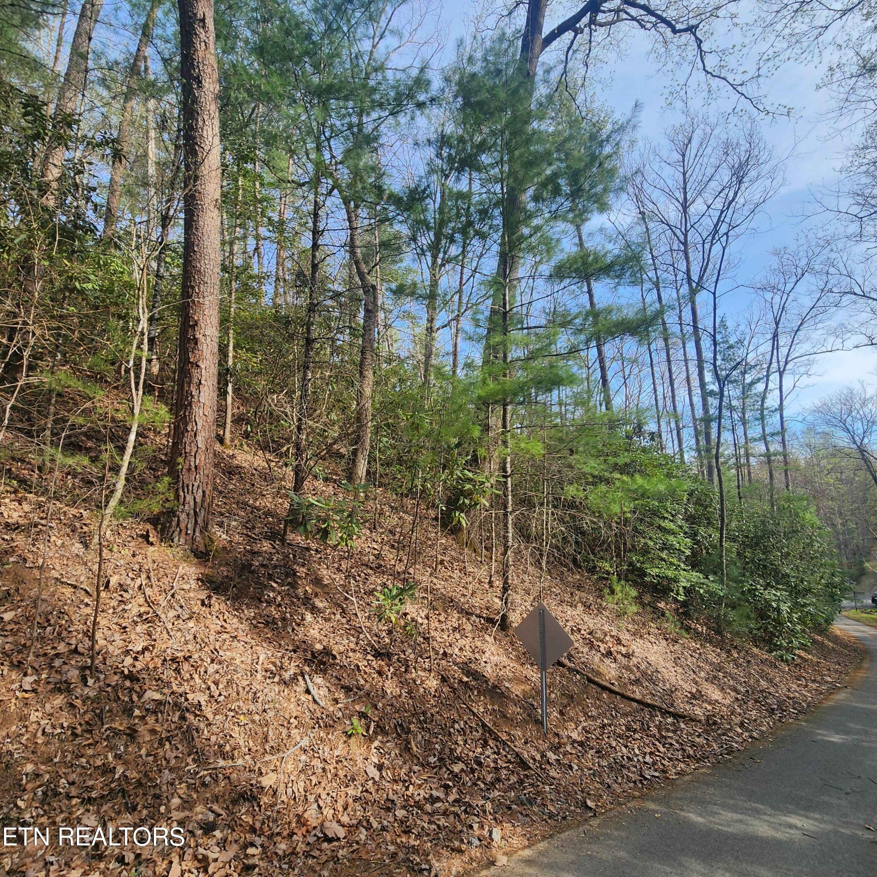116 Stonegate Way Property Photo 6