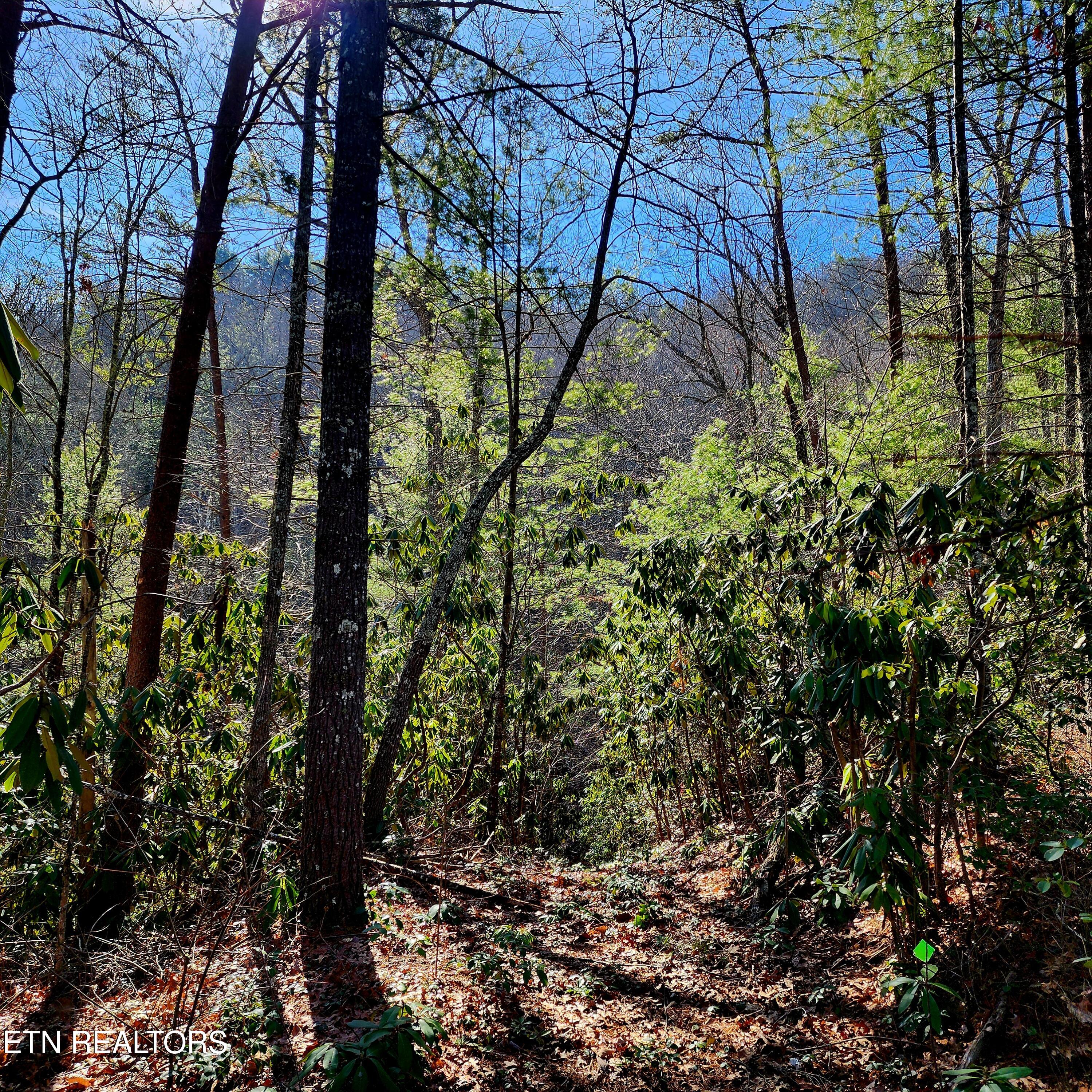 116 Stonegate Way Property Photo 8