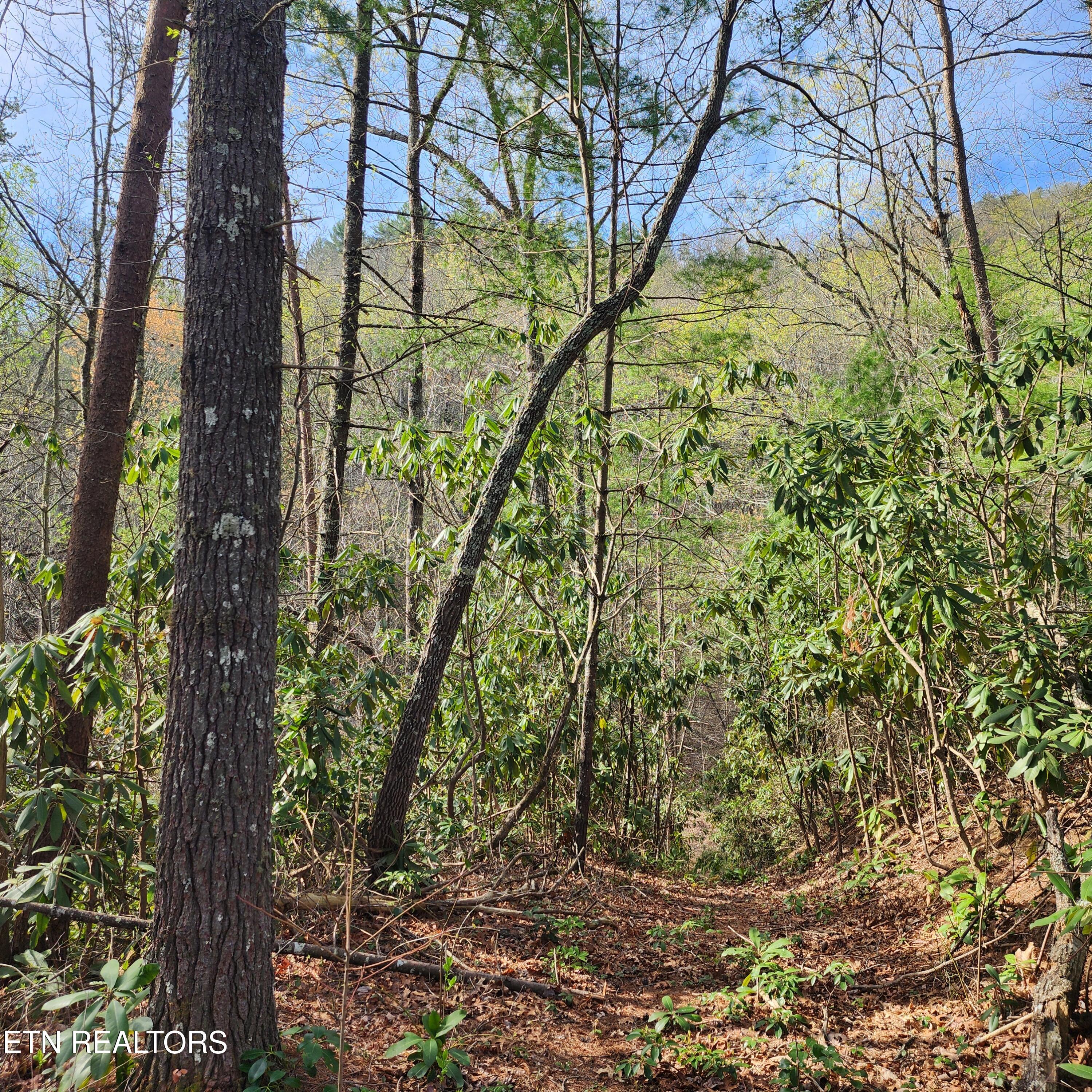 116 Stonegate Way Property Photo 11