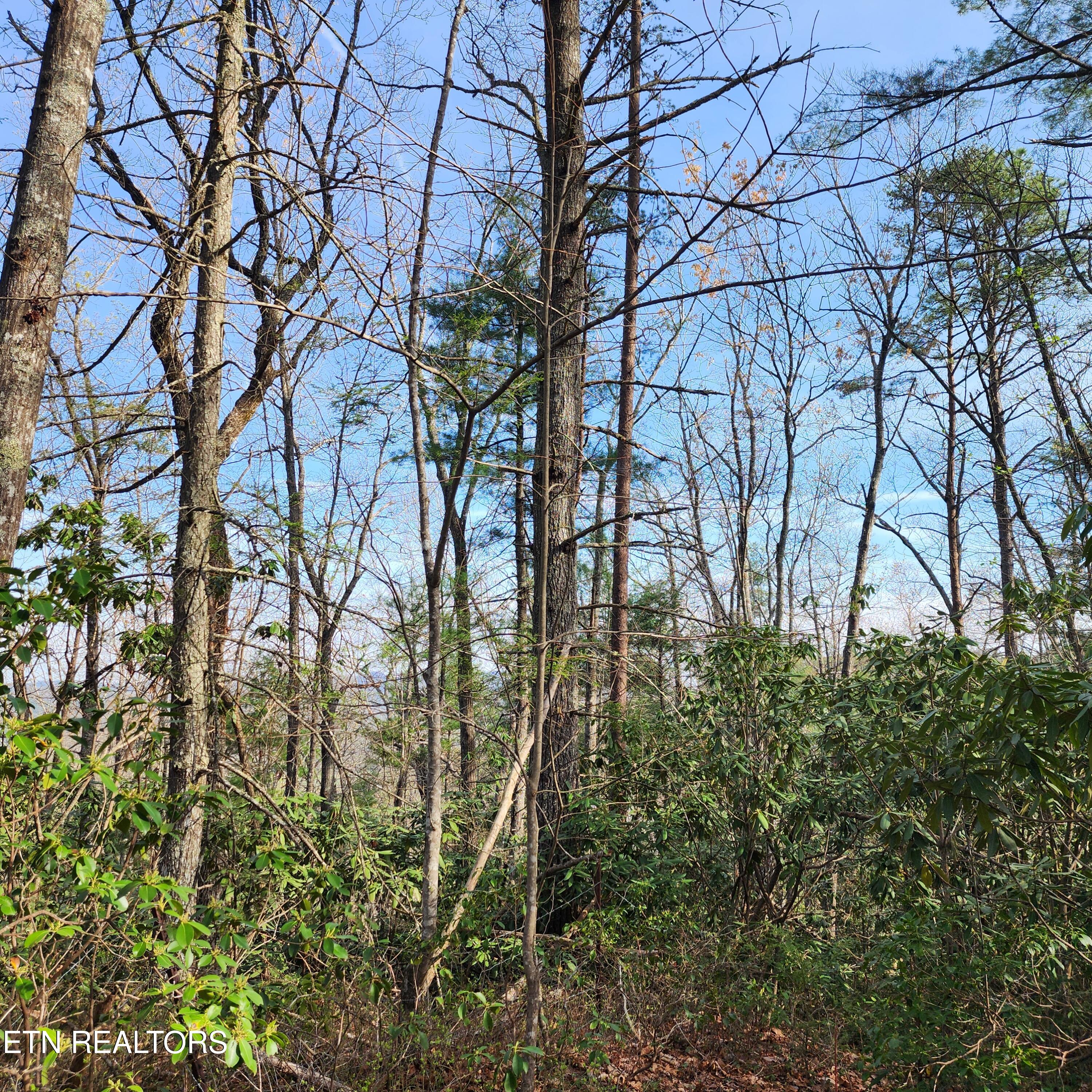 116 Stonegate Way Property Photo 12