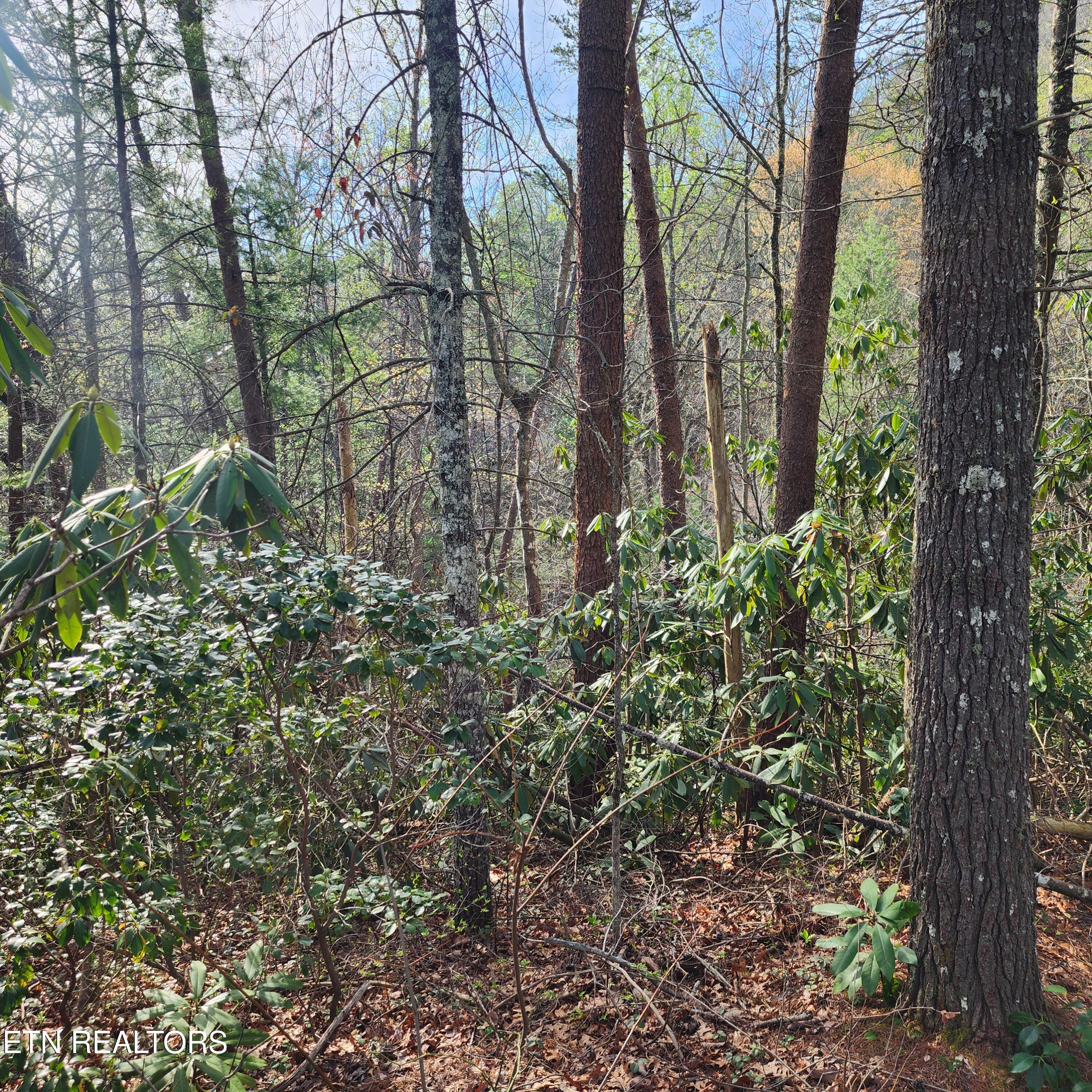 116 Stonegate Way Property Photo 14