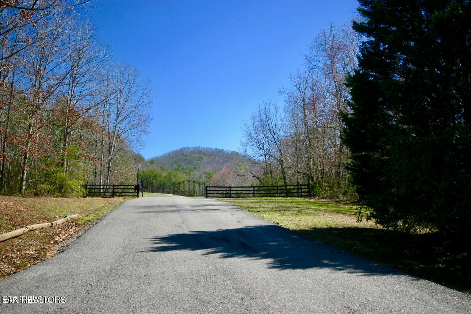 286 Highland Bluff Property Photo 3