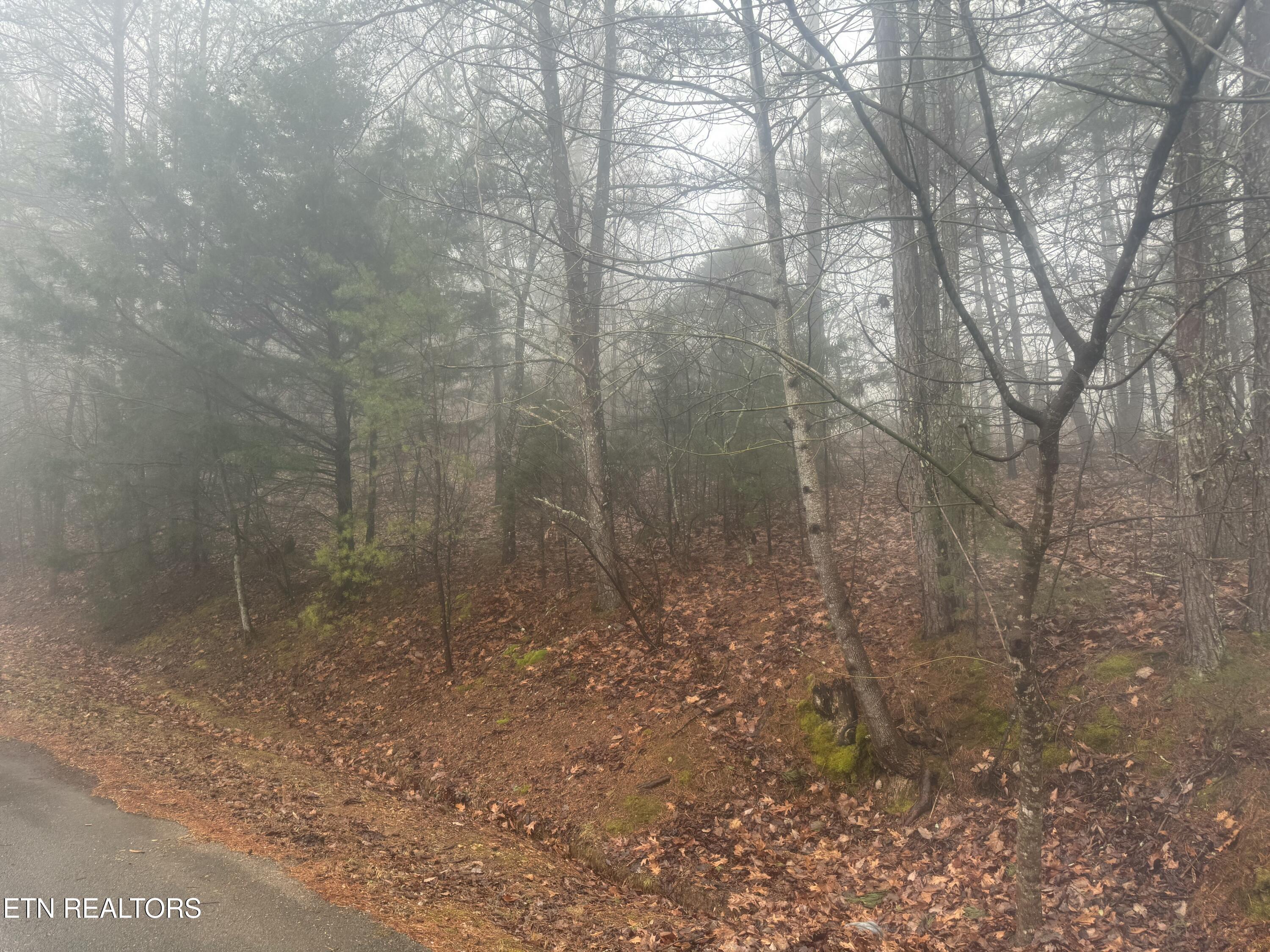 286 Highland Bluff Property Photo 10