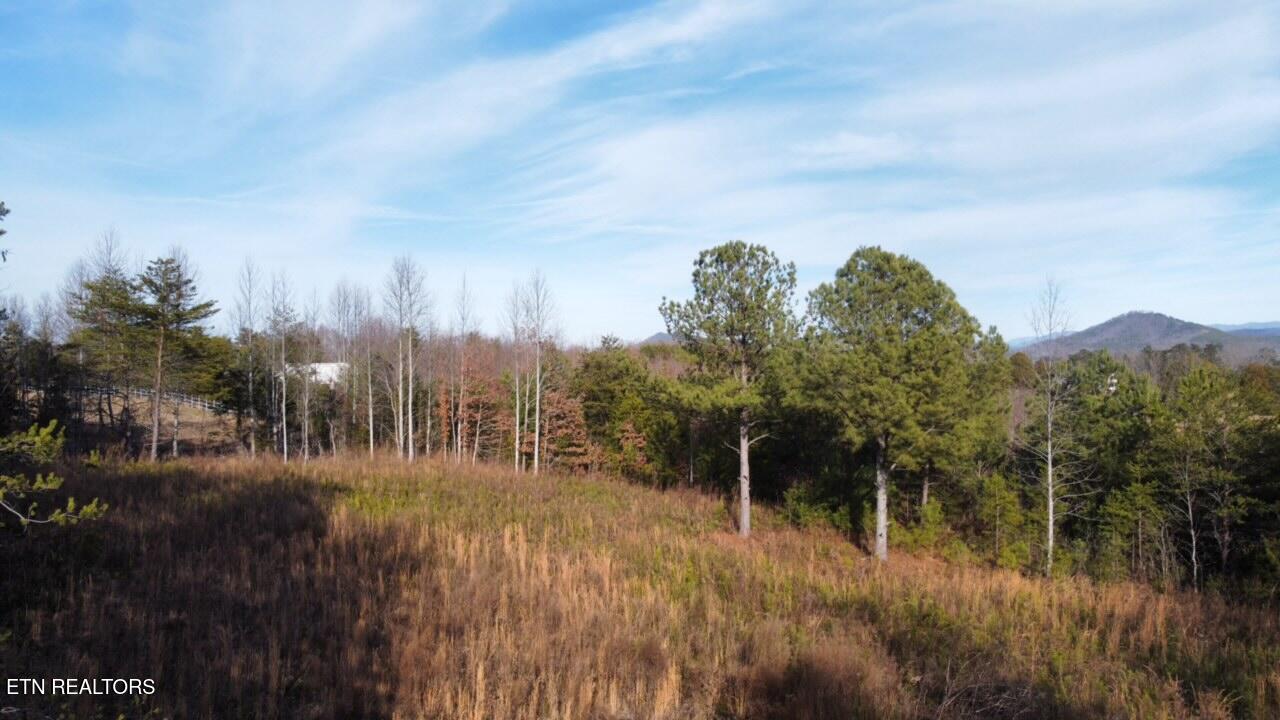 0 Curtis Rd Property Photo 10
