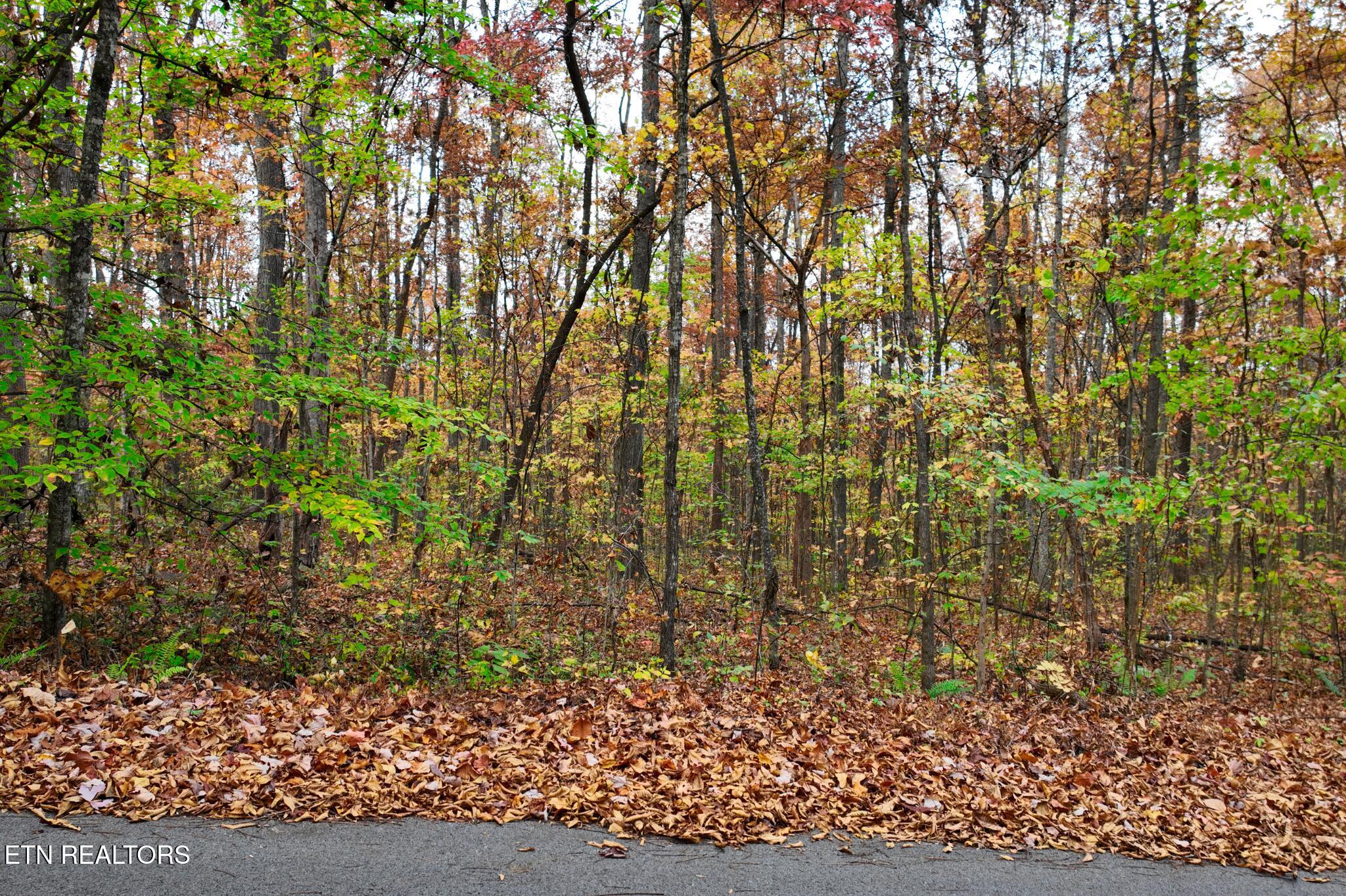 Lot #6 Walker Rd Property Photo 4