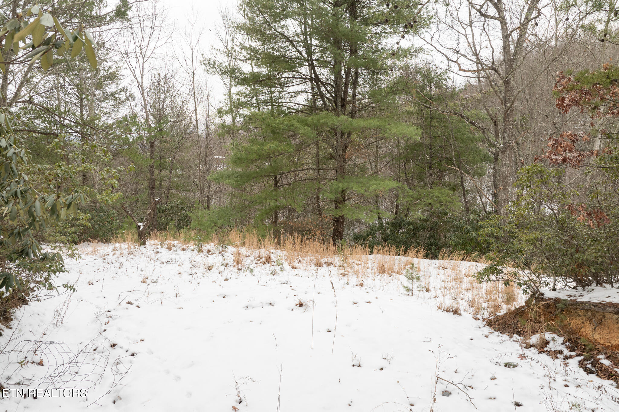 Lot 2 Sunshine Trail Property Photo 5