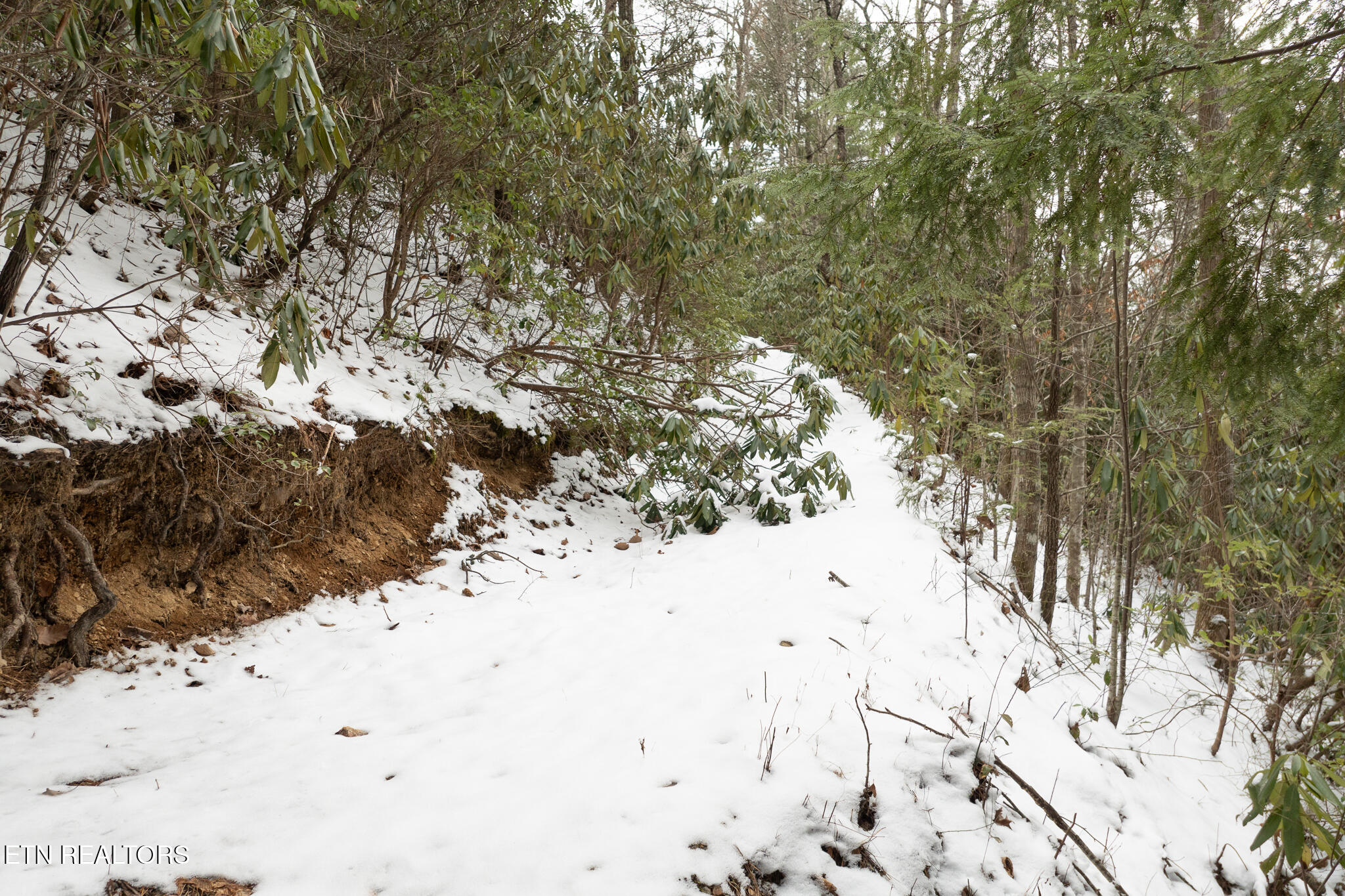 Lot 2 Sunshine Trail Property Photo 6
