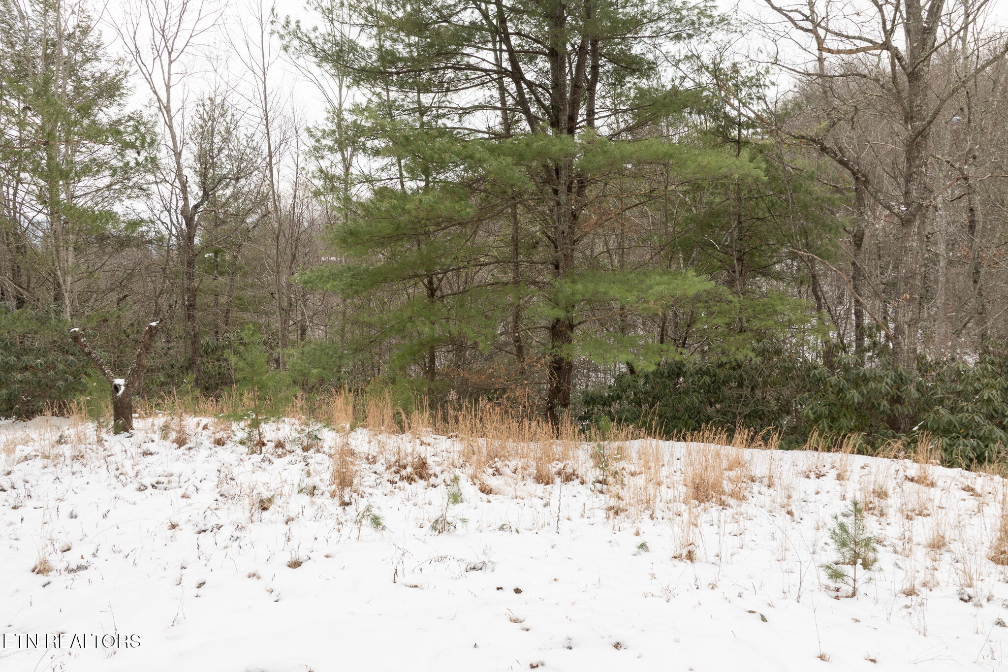 Lot 2 Sunshine Trail Property Photo 9