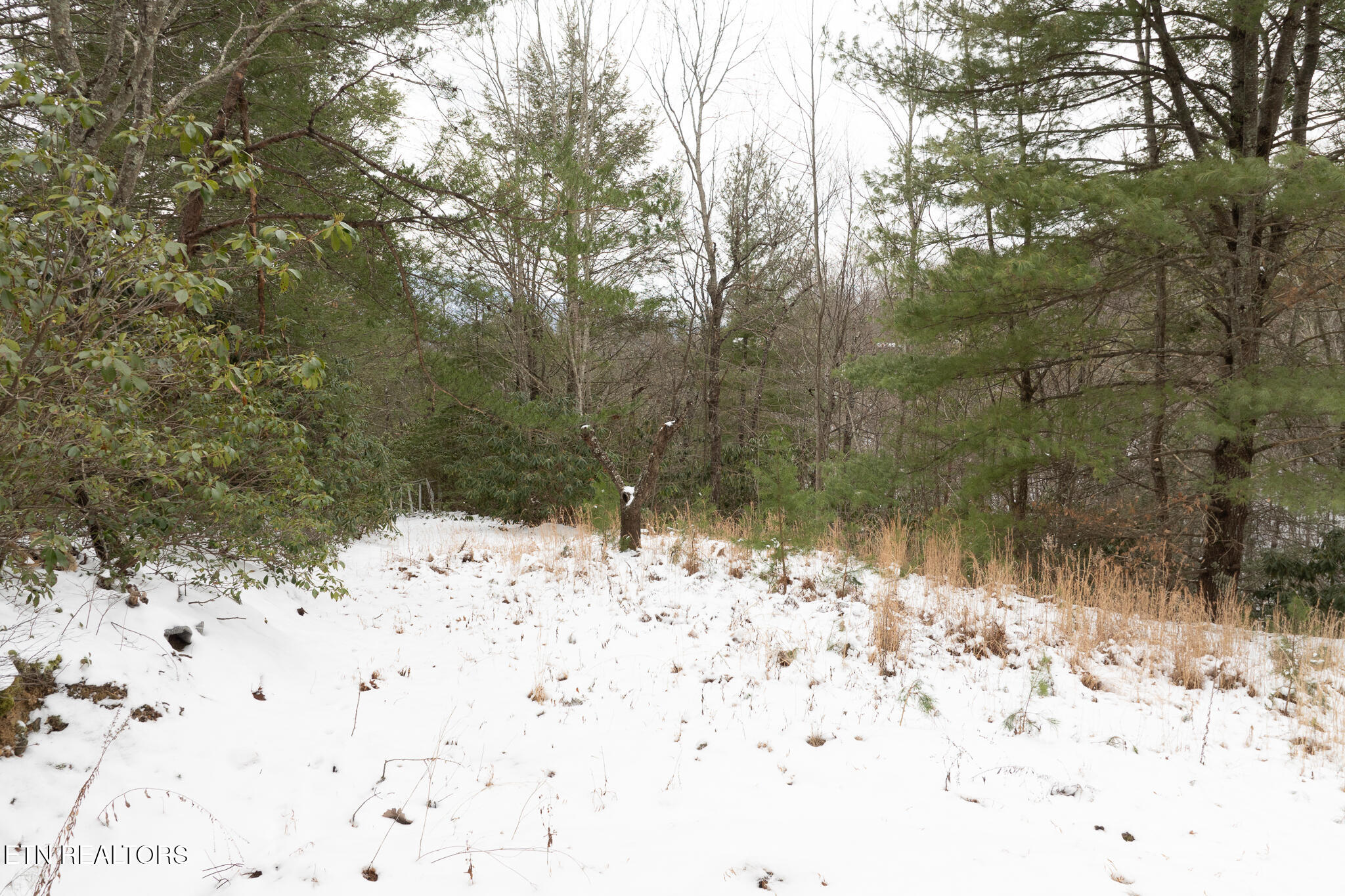 Lot 2 Sunshine Trail Property Photo 10