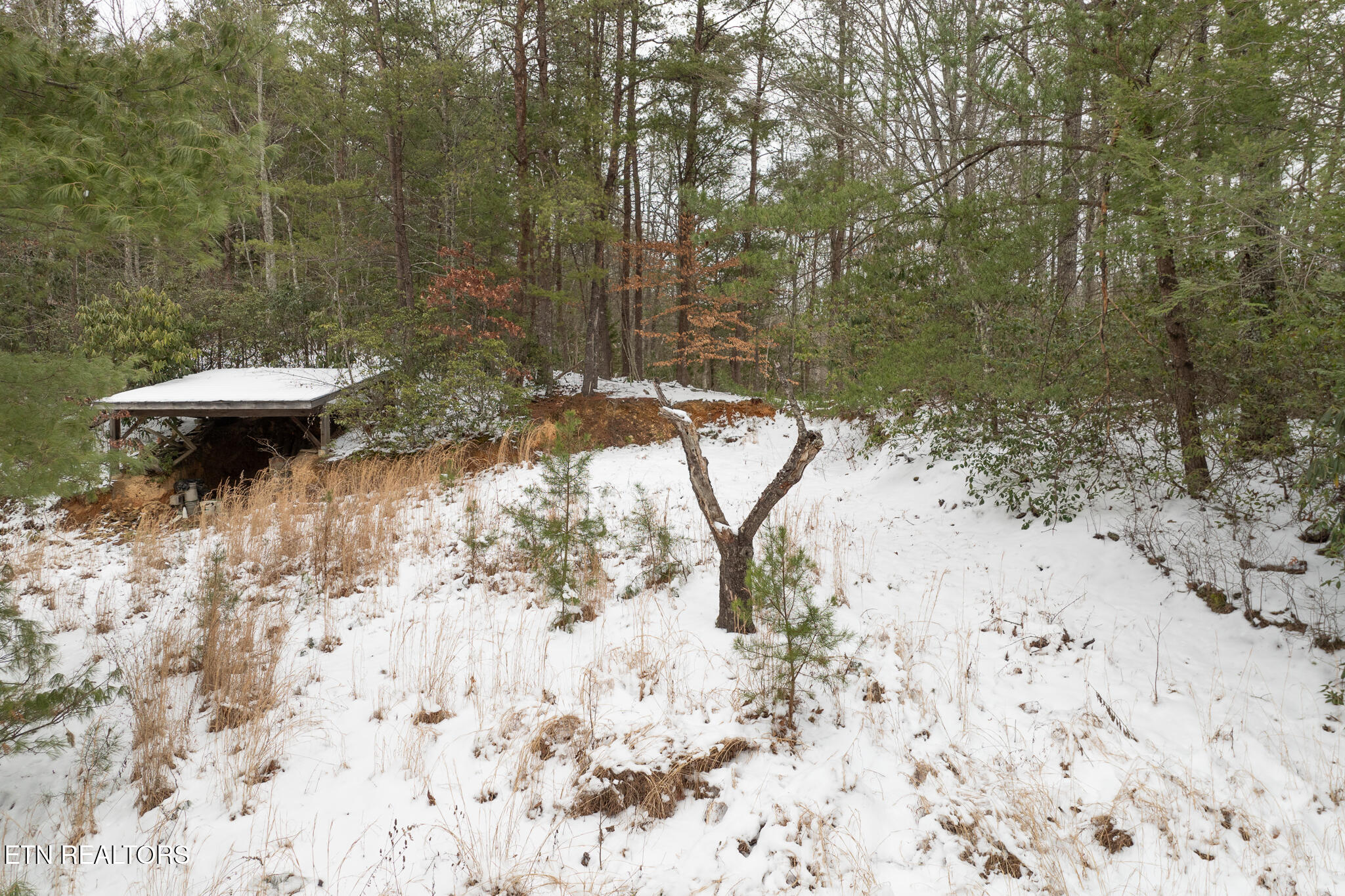 Lot 2 Sunshine Trail Property Photo 12