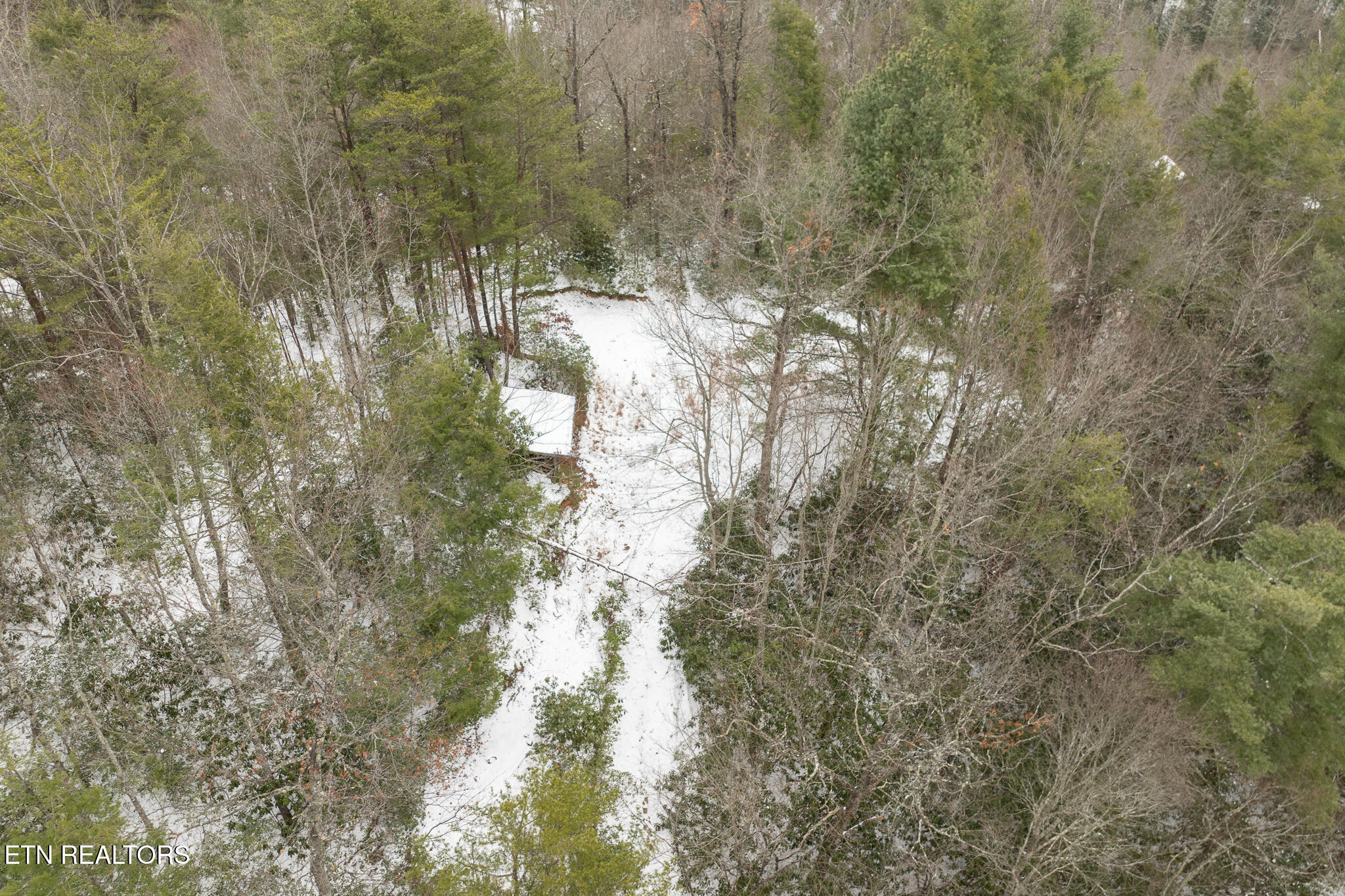 Lot 2 Sunshine Trail Property Photo 15