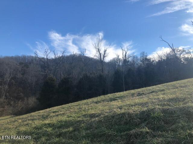 Lot 321 Russell Brothers Rd Property Photo 25