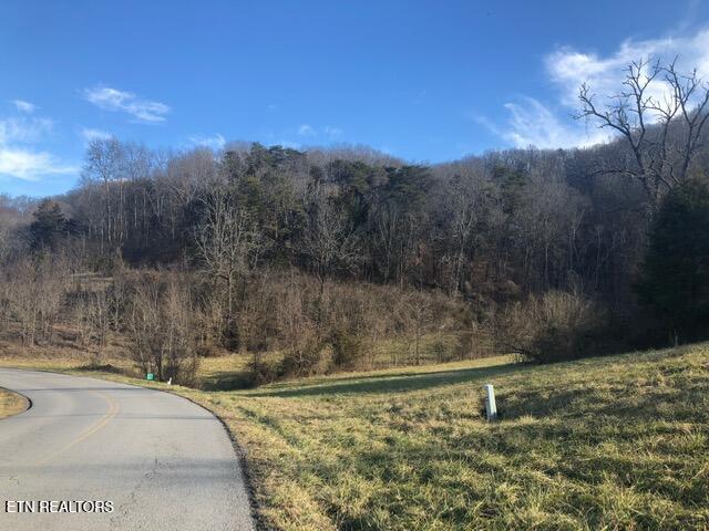 Lot 321 Russell Brothers Rd Property Photo 27