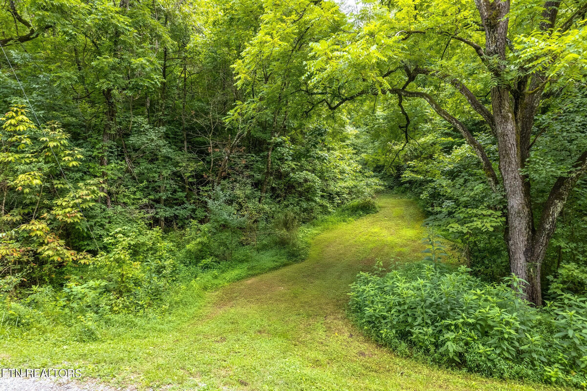 Moon Hollow Rd Property Photo 12