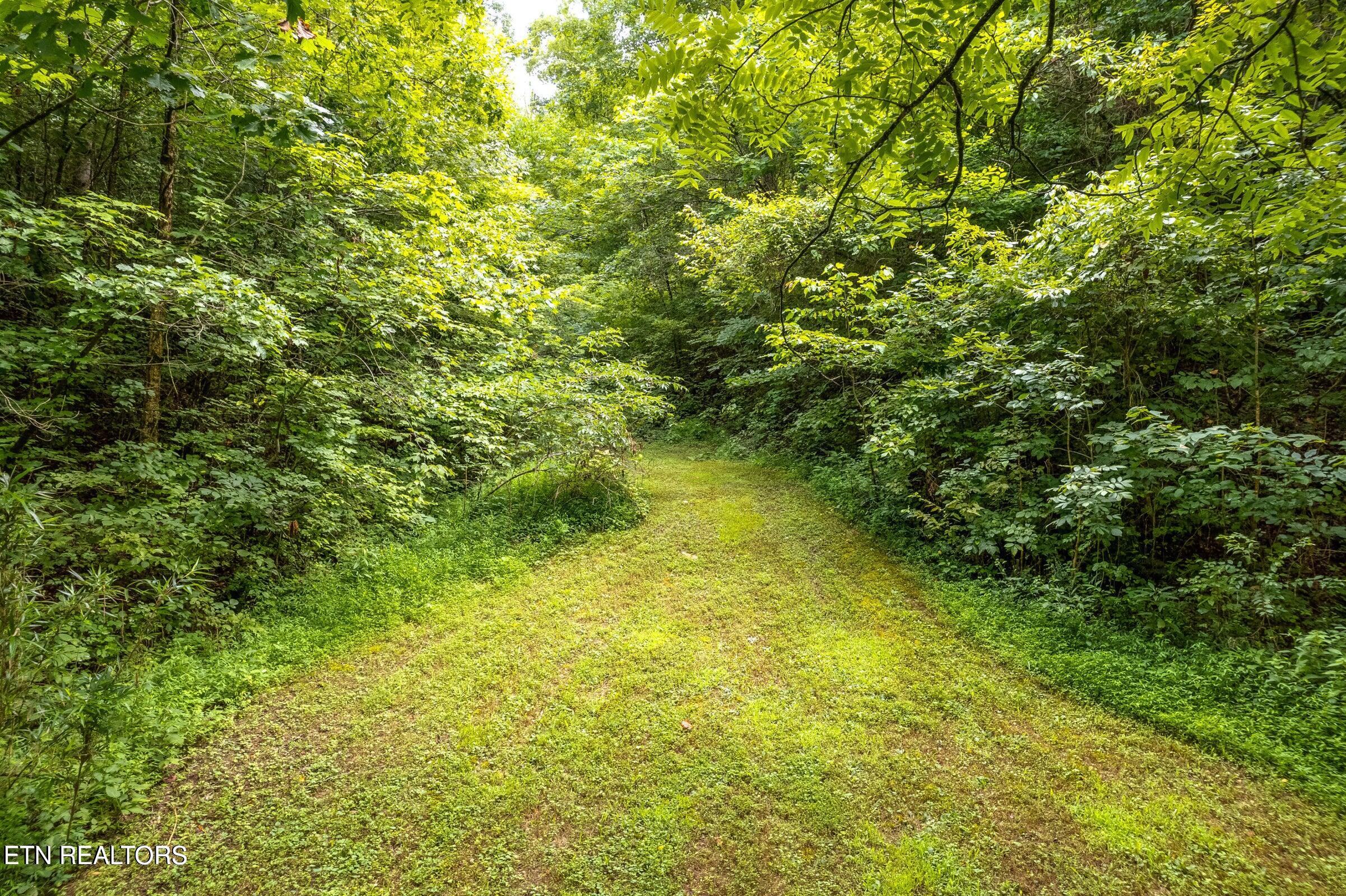 Moon Hollow Rd Property Photo 13