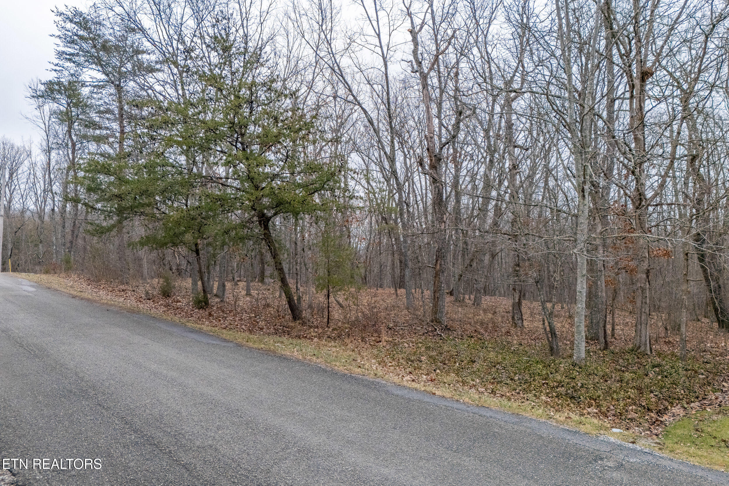 149 Albemarle Lane Property Photo 7