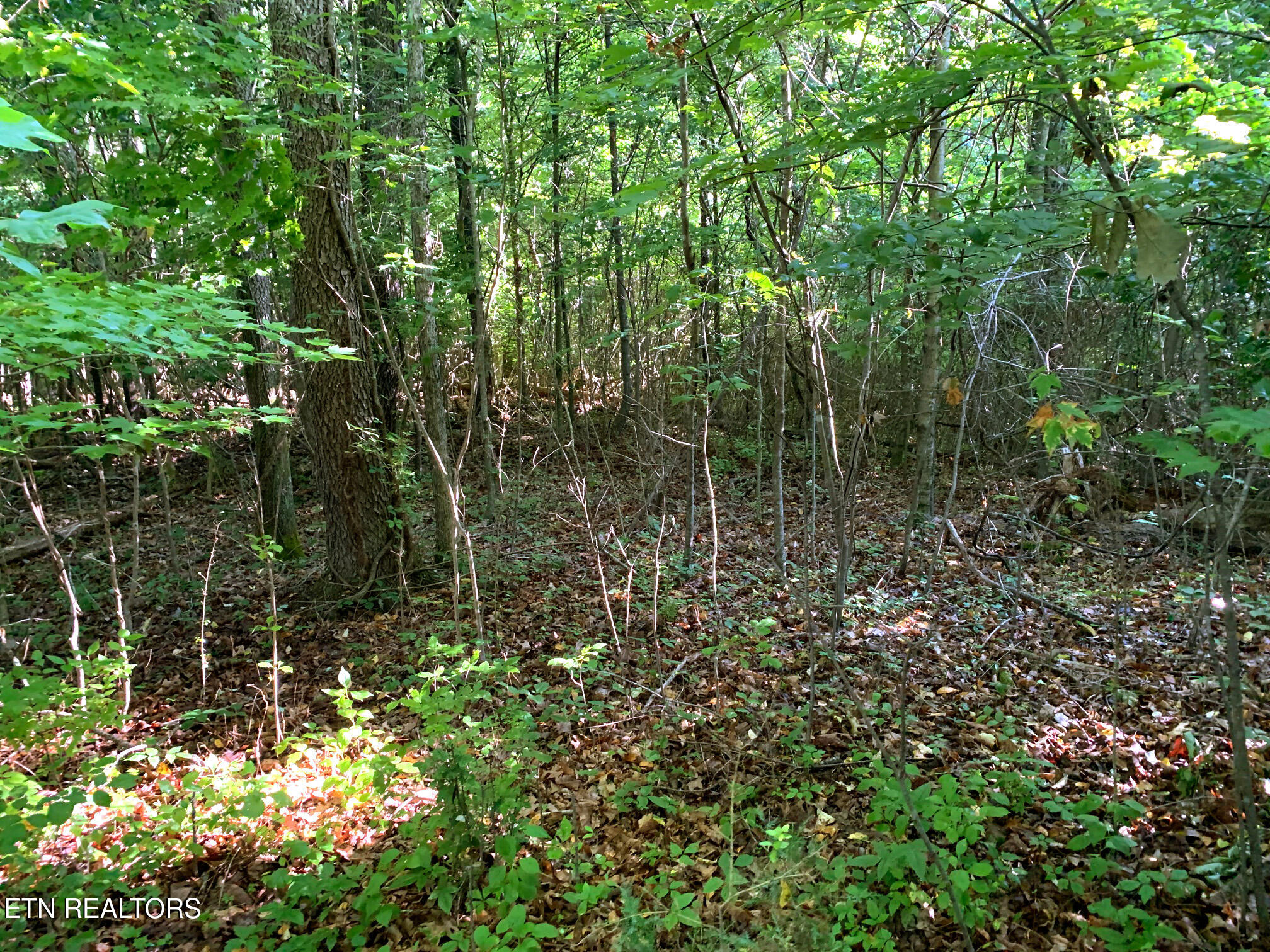 Lake City Hwy Property Photo 4