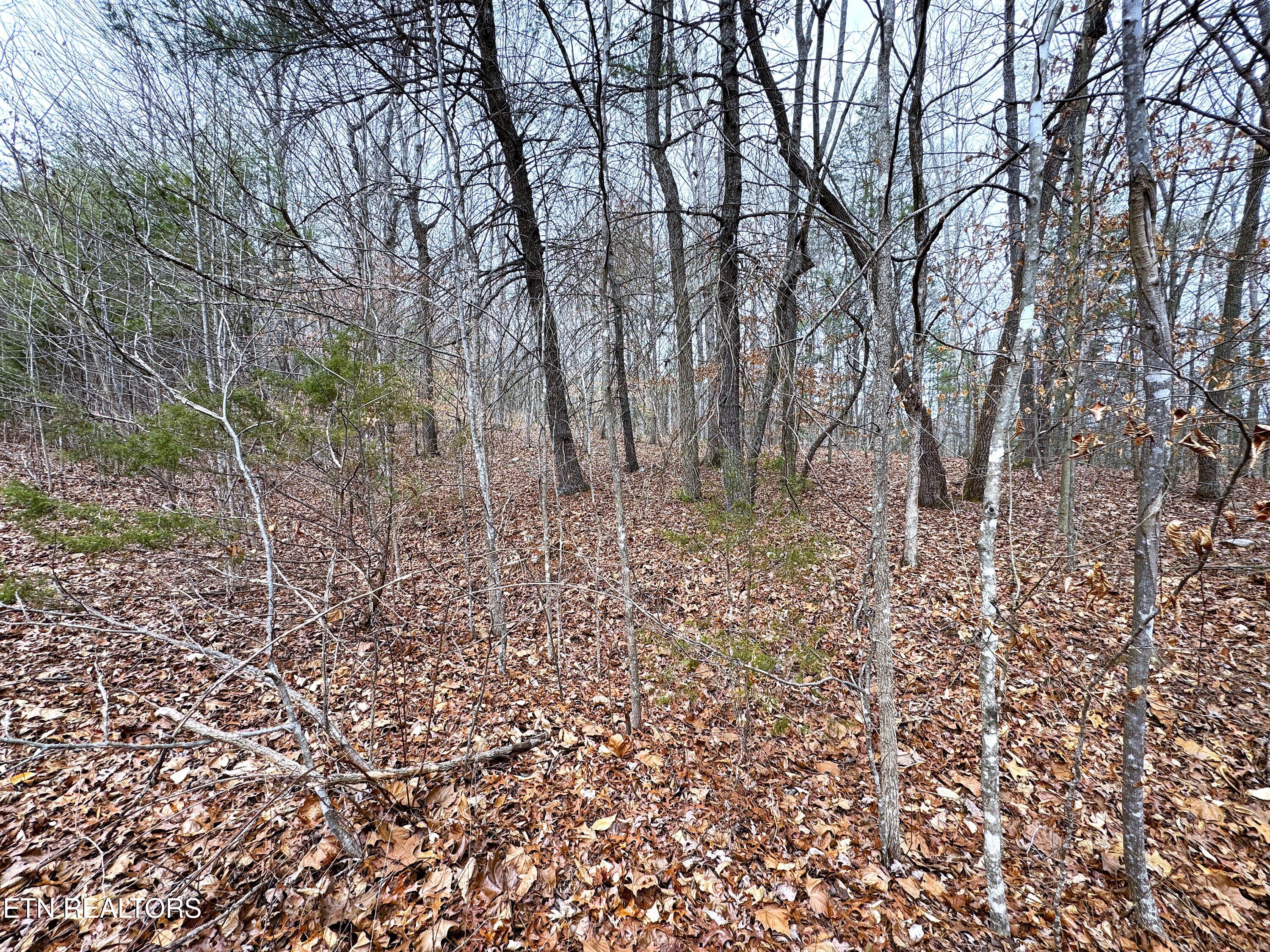 Lot 45 Zuni Way Property Photo