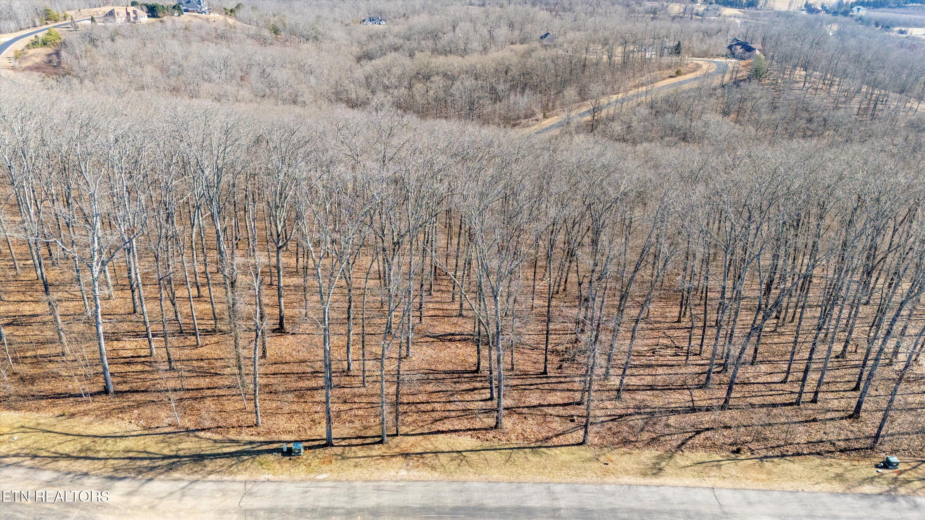 Grand Vista Drive Property Photo 9
