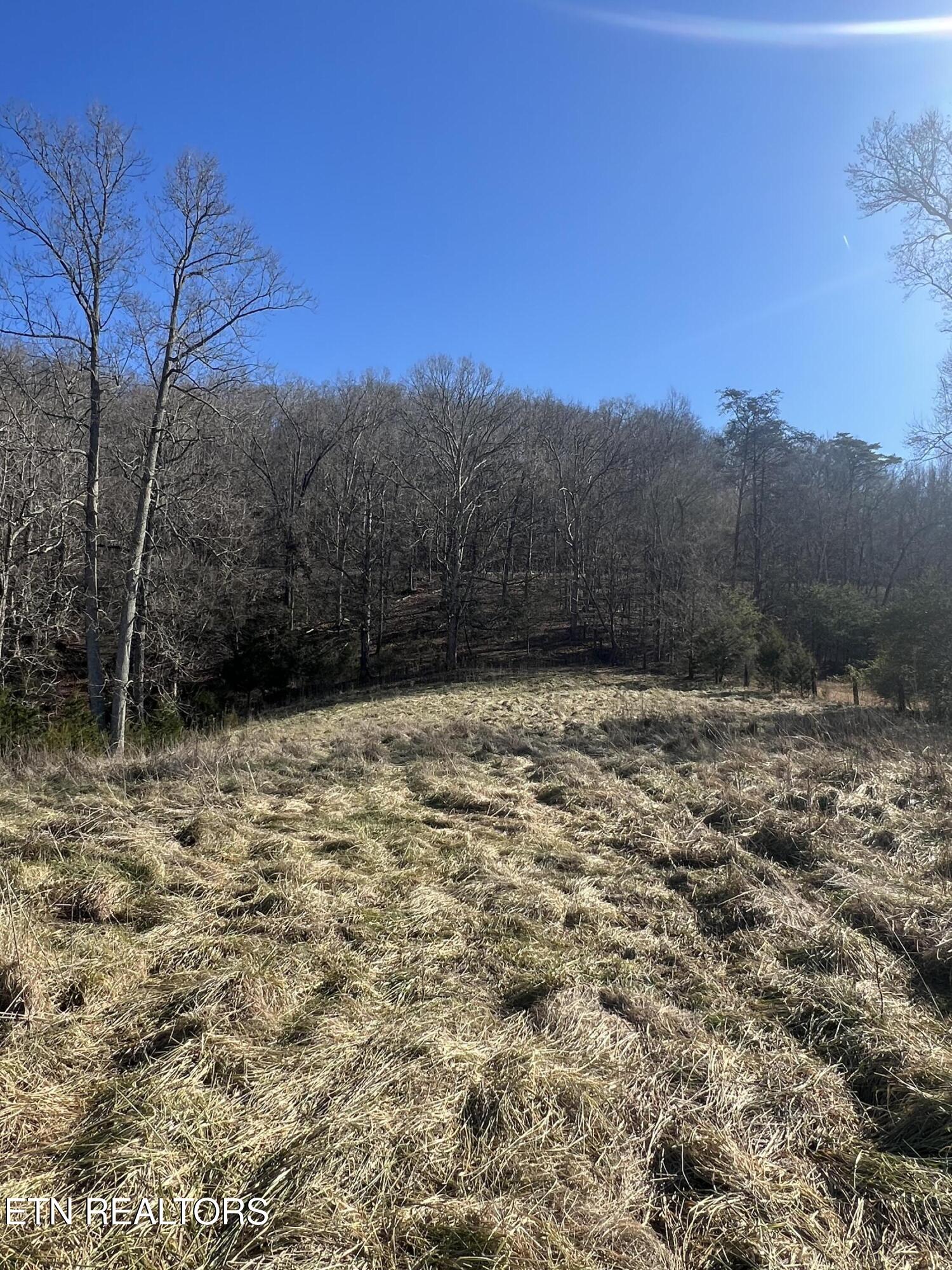 0 W Brushy Valley Drive Property Photo 1