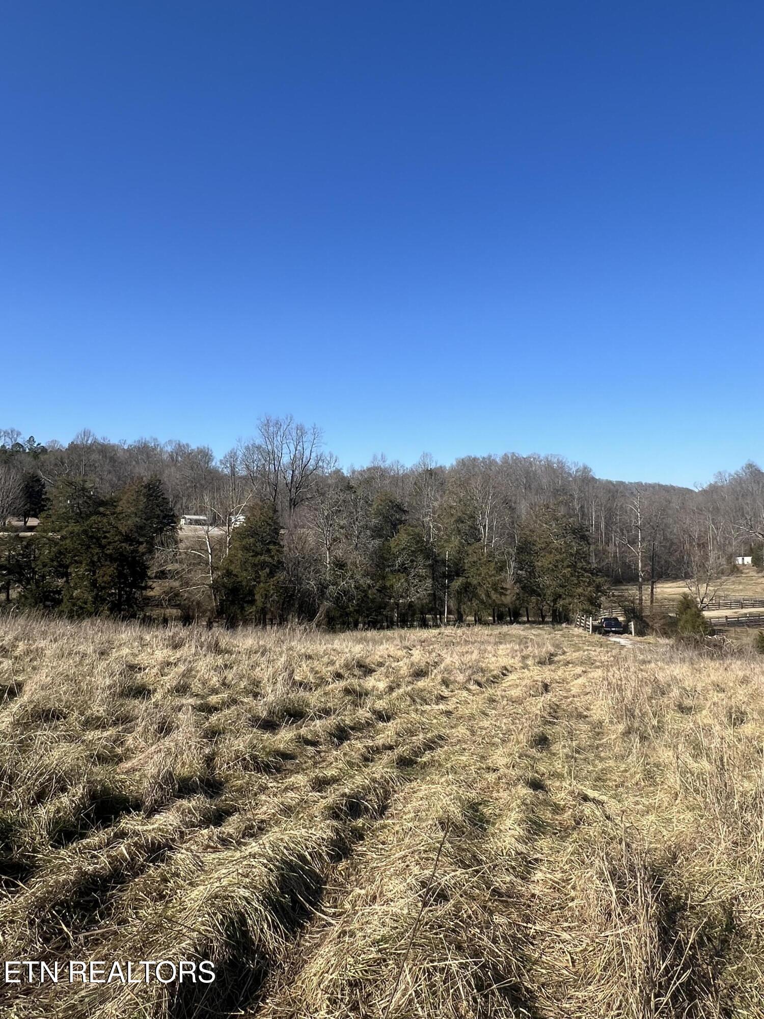 0 W Brushy Valley Drive Property Photo 2