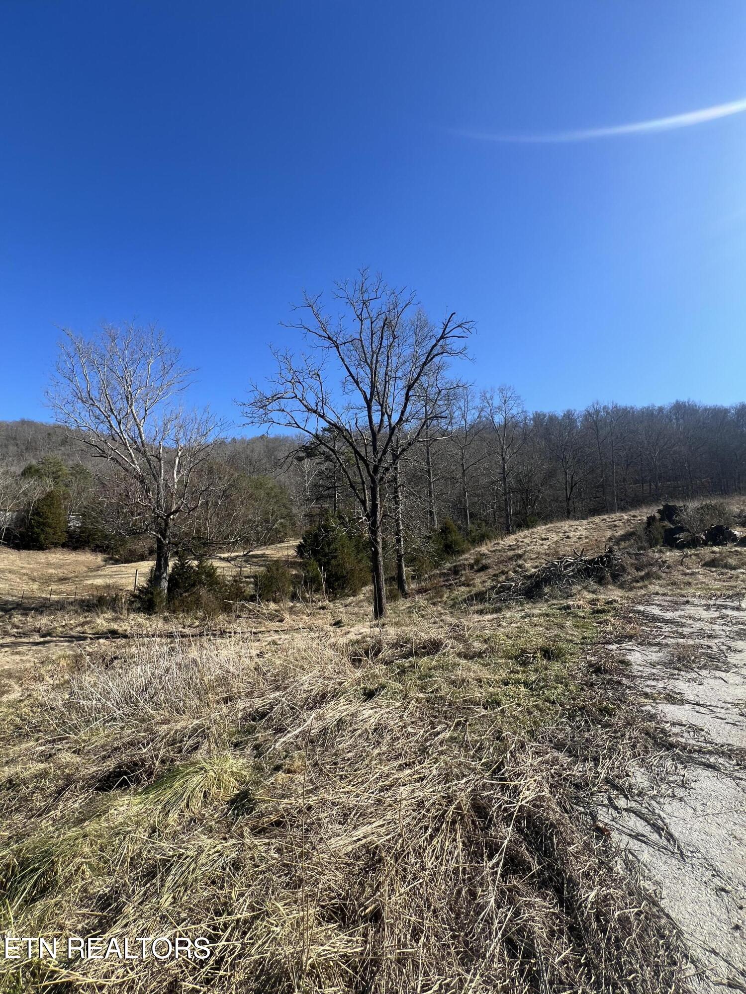 0 W Brushy Valley Drive Property Photo 3