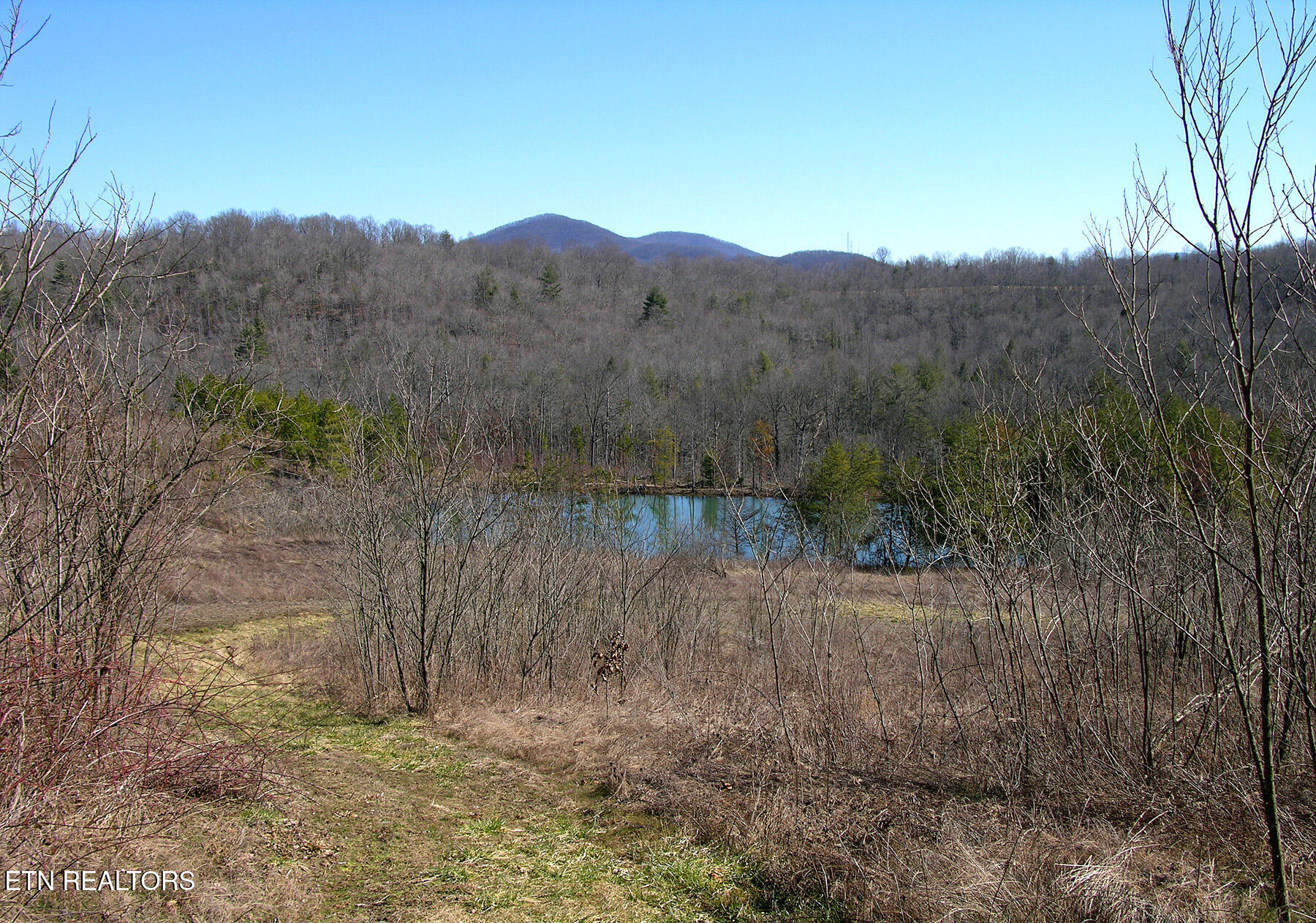 Shady Grove Rd Property Photo