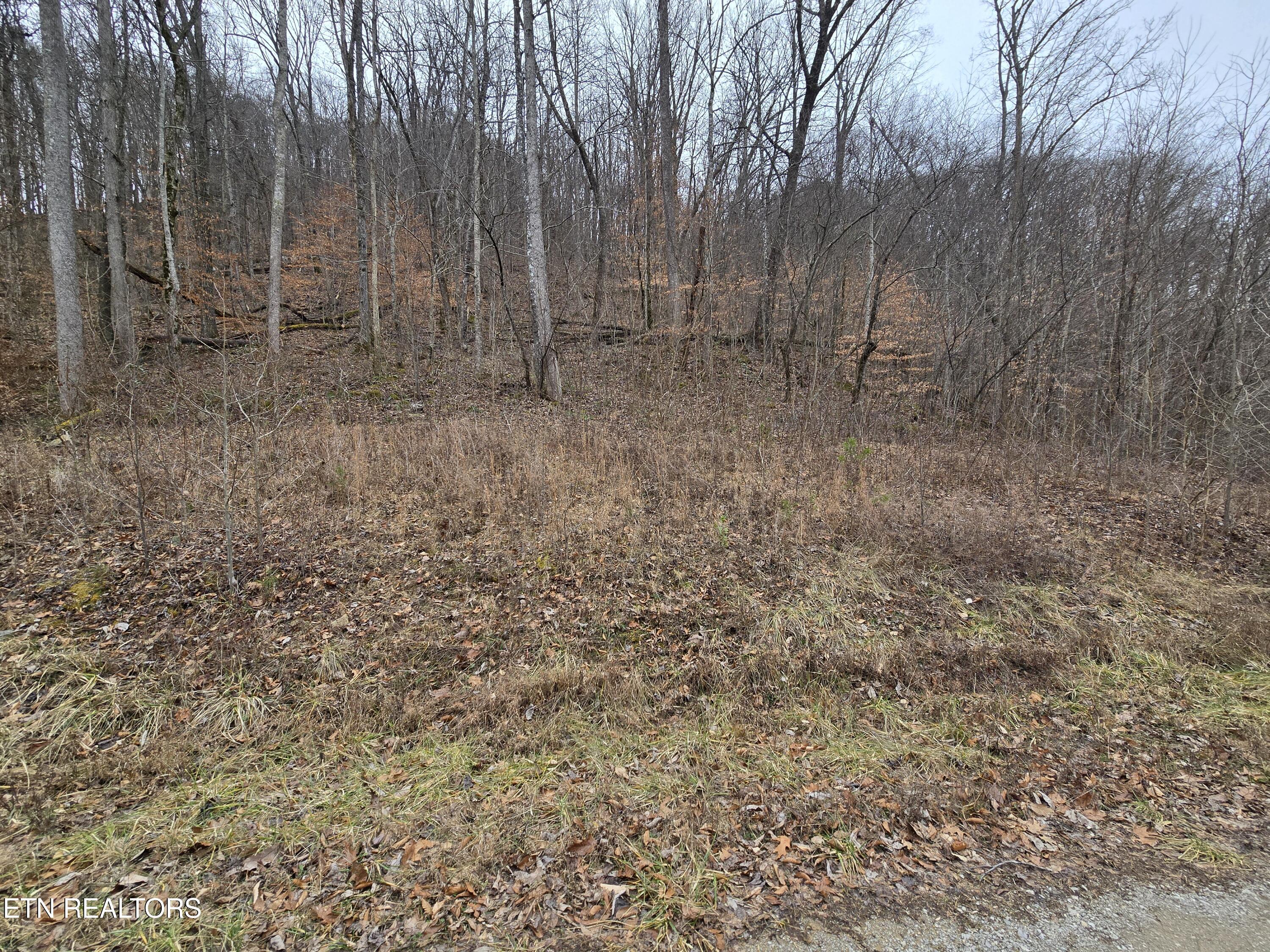 Lot 5 Apache Rd Property Photo 1