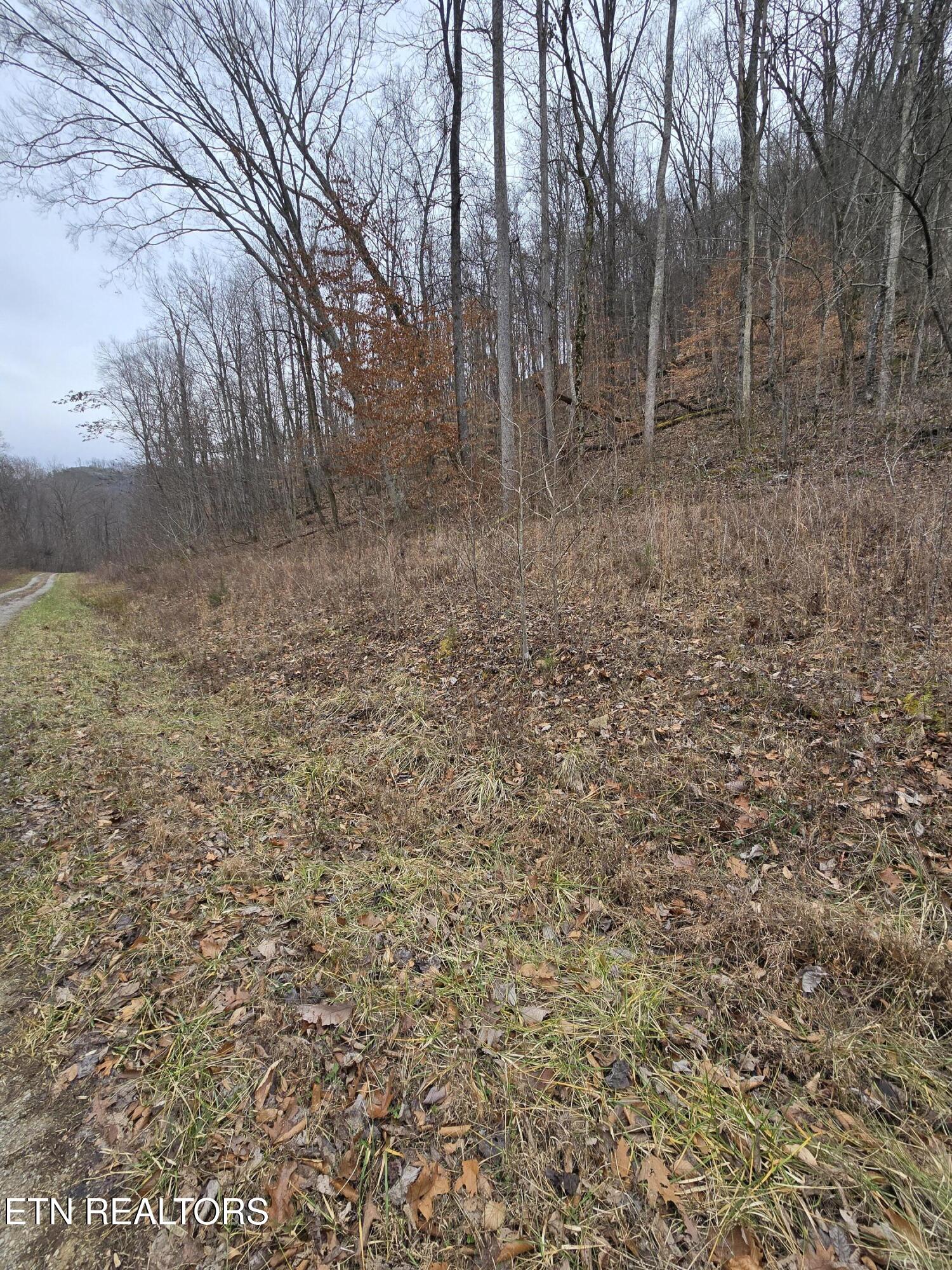 Lot 5 Apache Rd Property Photo 5