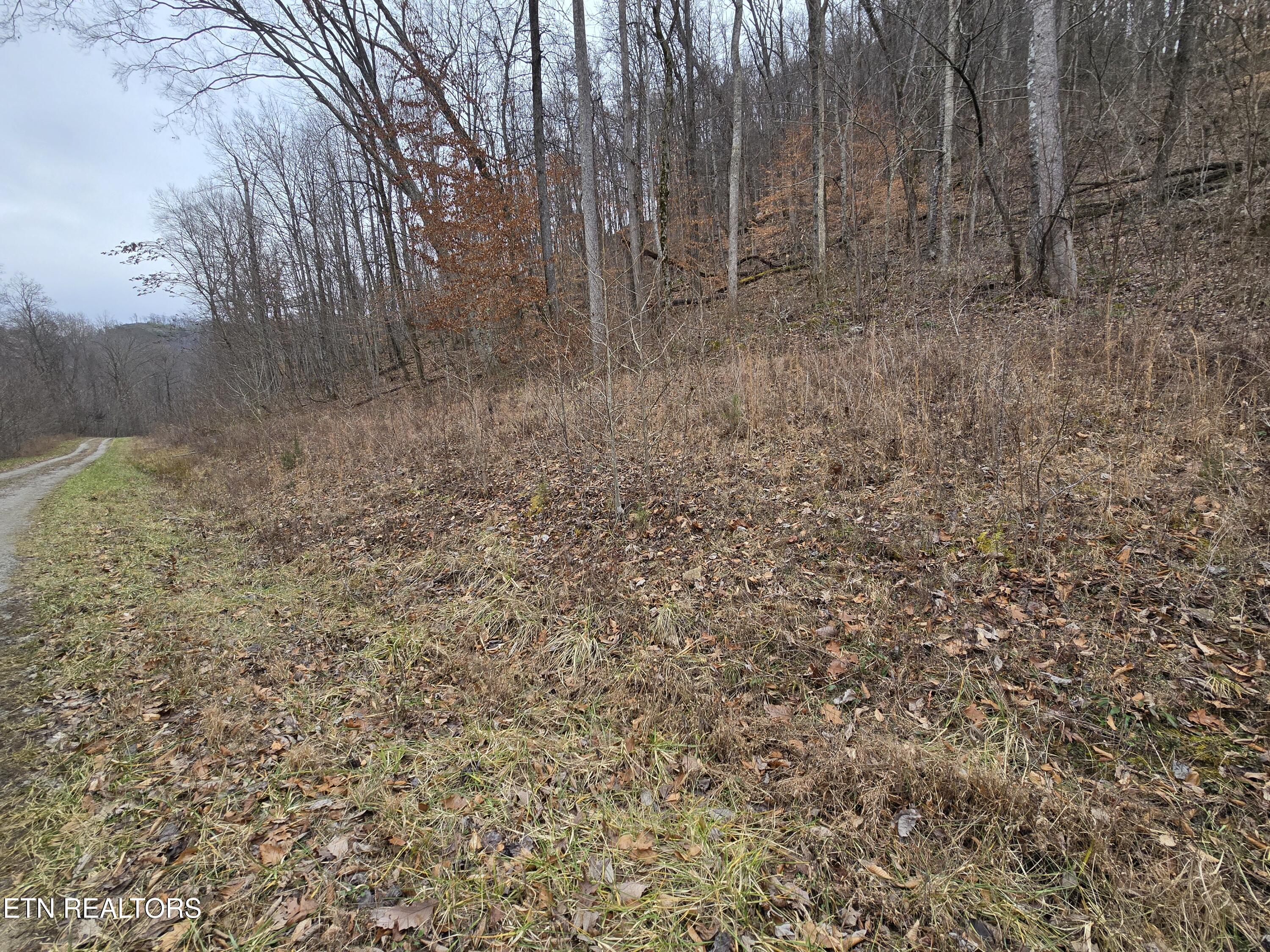 Lot 5 Apache Rd Property Photo 6
