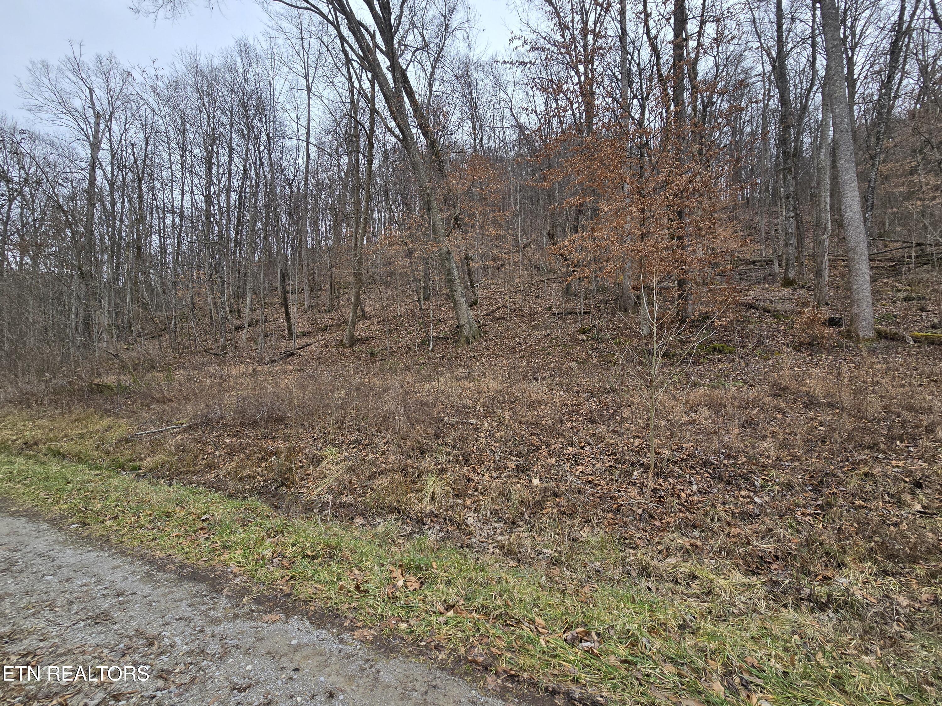Lot 5 Apache Rd Property Photo 7