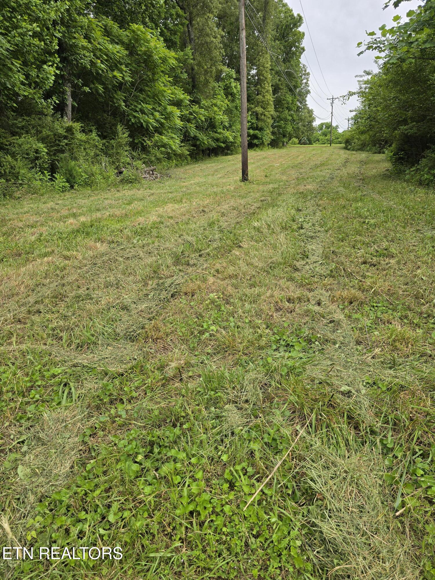 Miser School Rd Property Photo 6