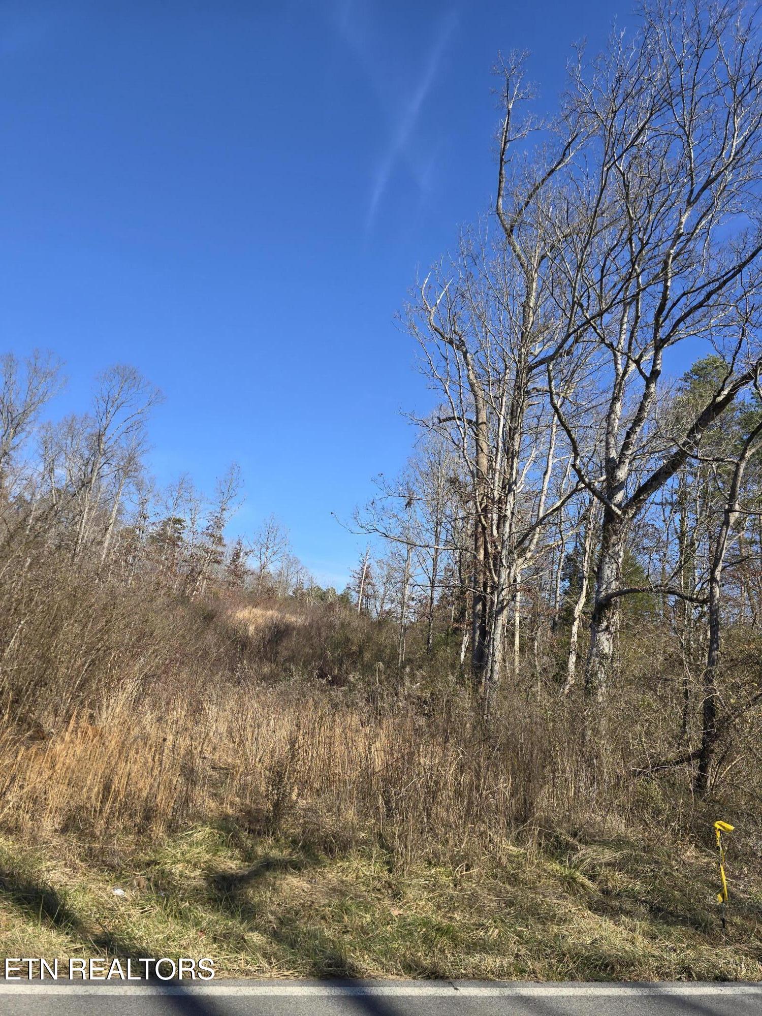Miser School Rd Property Photo 11