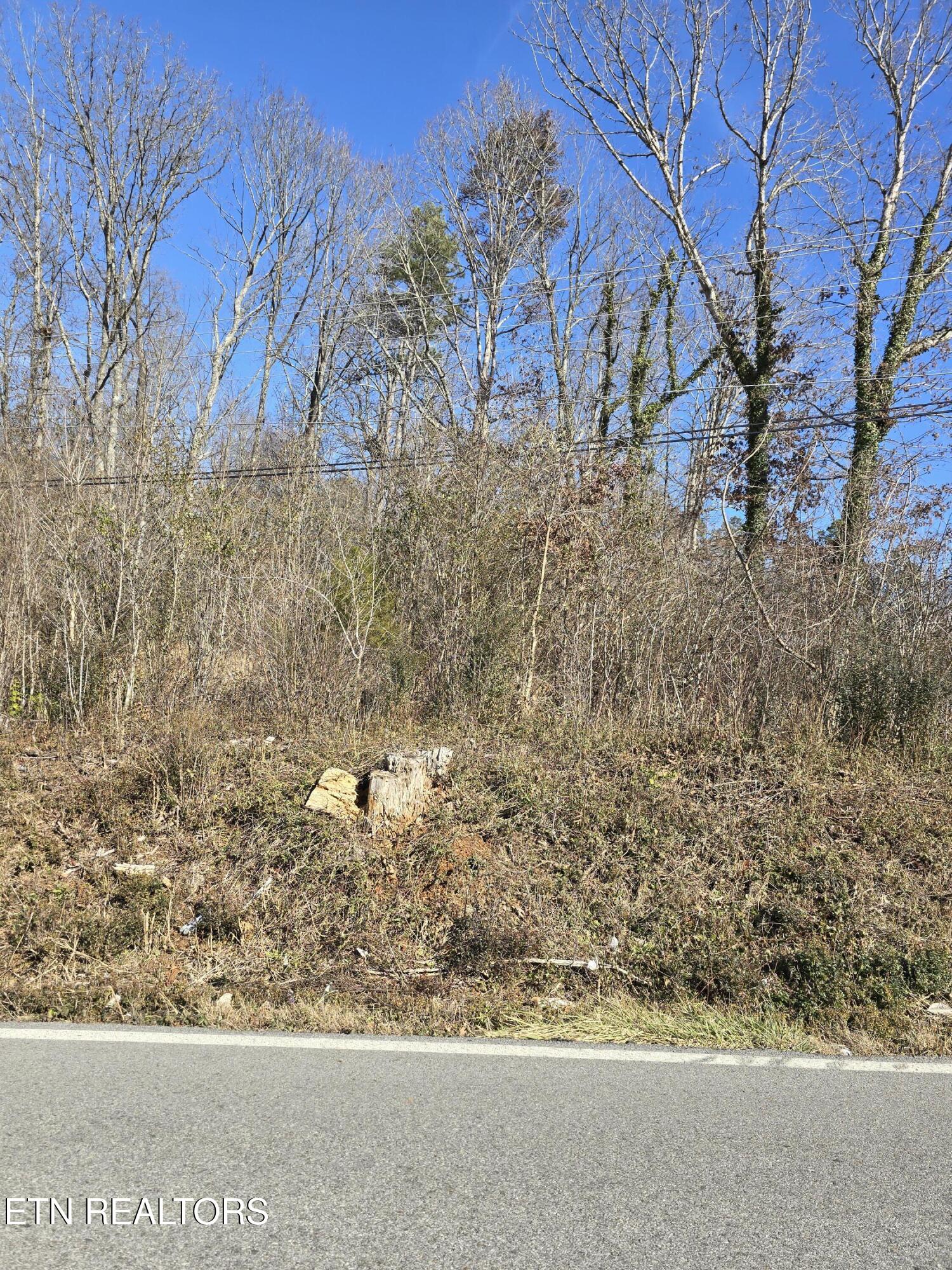 Miser School Rd Property Photo 14