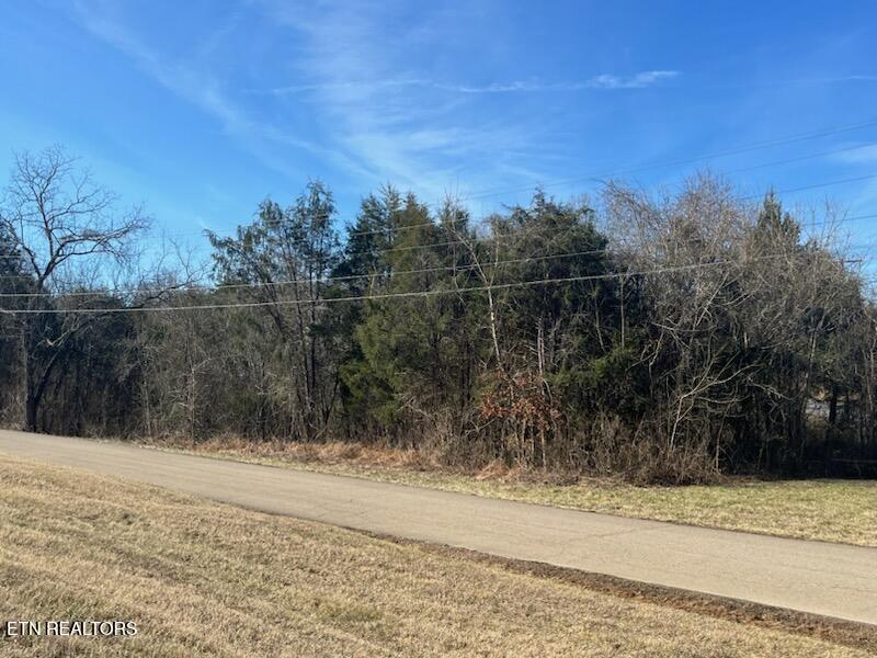 0 Bays Mountain Rd Property Photo 1