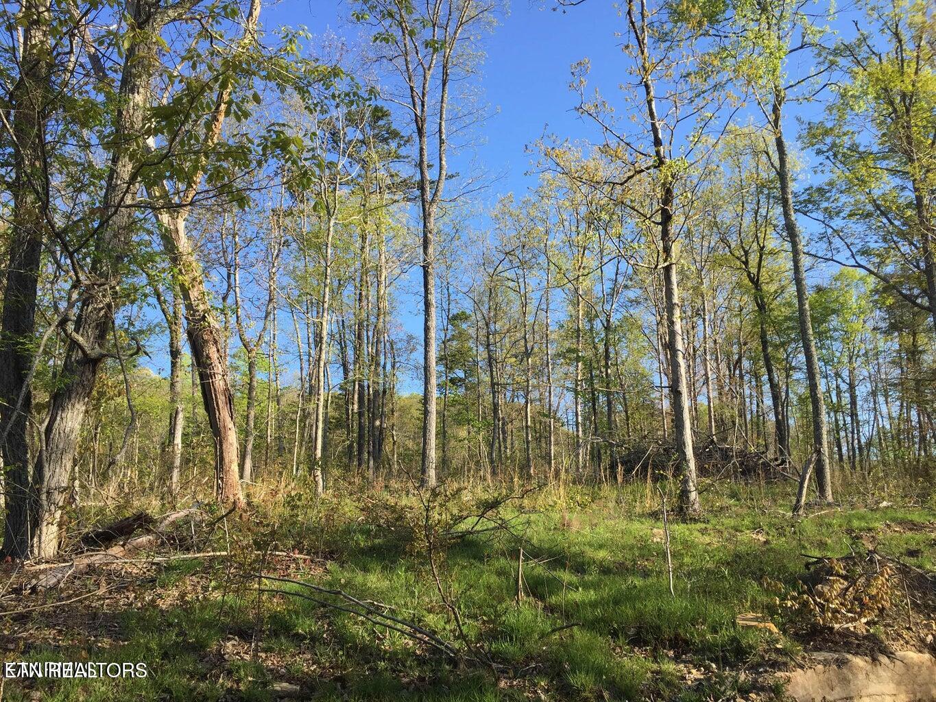 Bench Rd. 34.97 Acres Property Photo 1