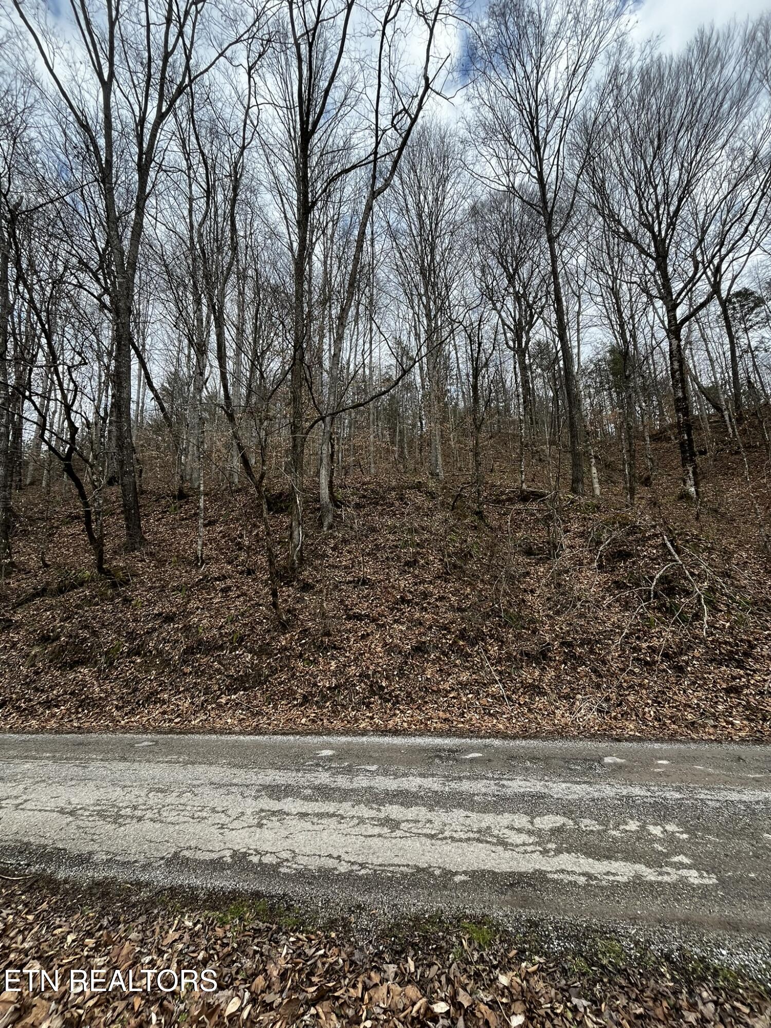 0 Paint Rock Creek Property Photo 1