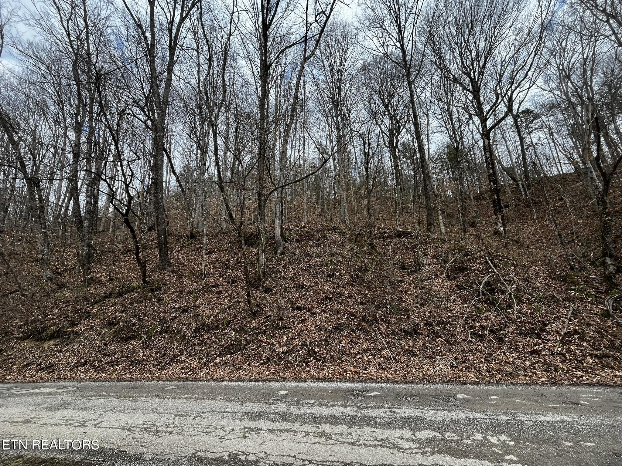 0 Paint Rock Creek Property Photo 2