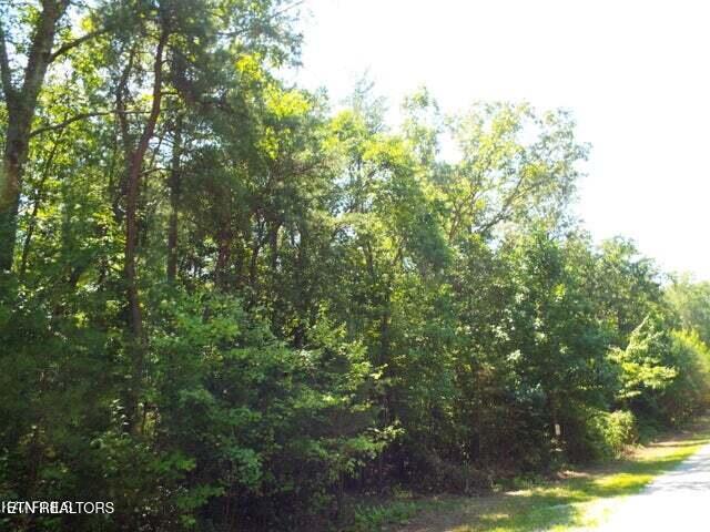 Tract 9 George Drive Property Photo 8