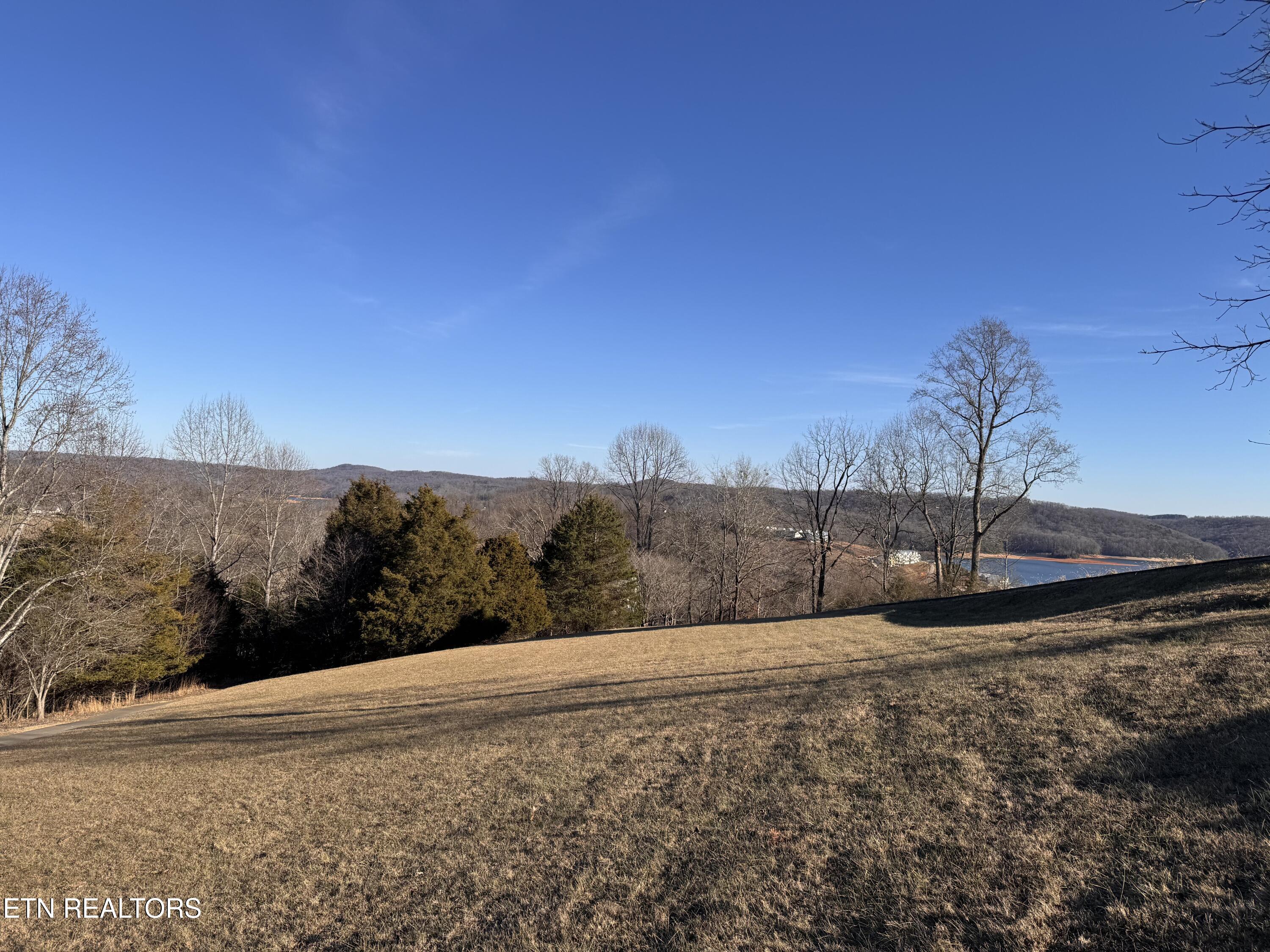 0 Wedgewood Lane Property Photo 1